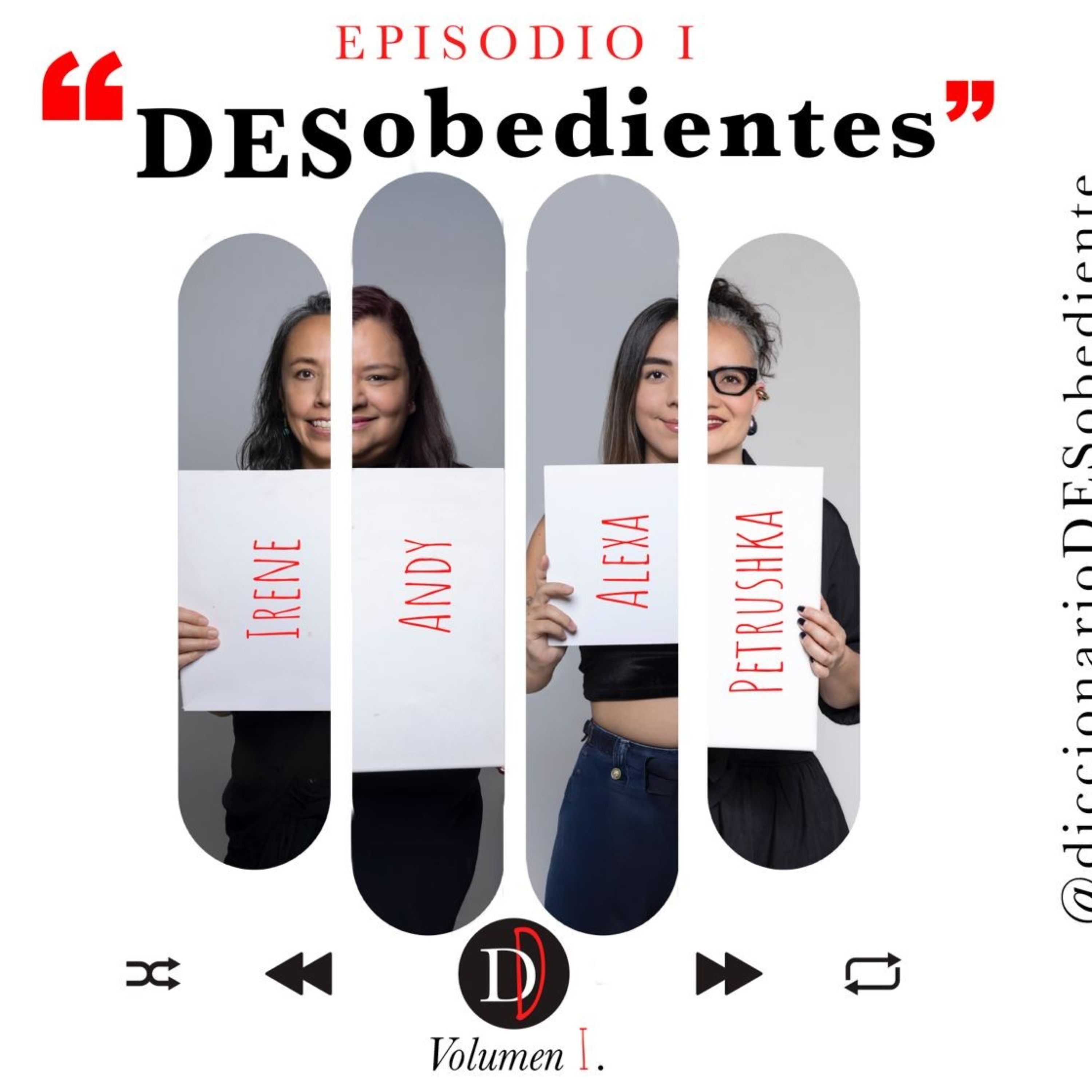 Diccionario Desobediente