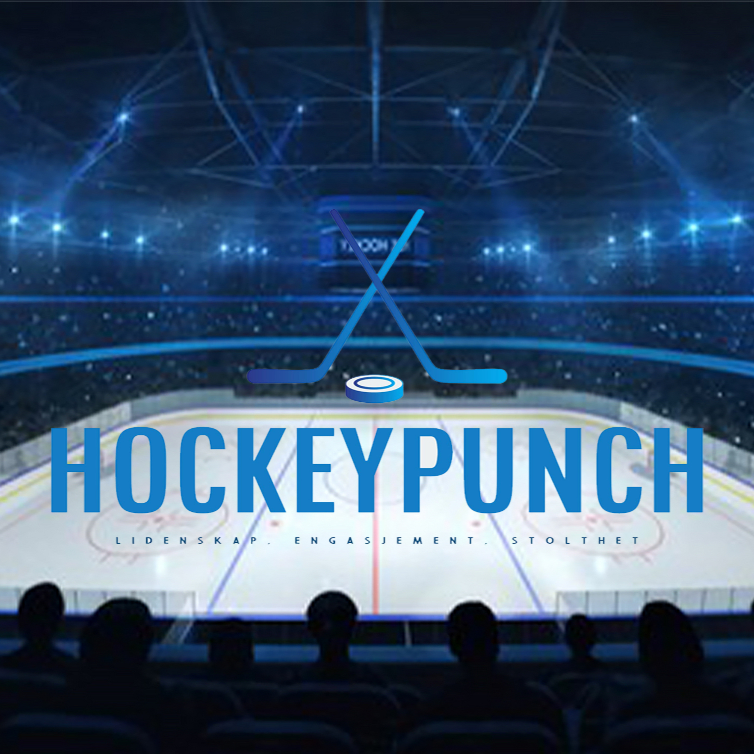Hockeypunch