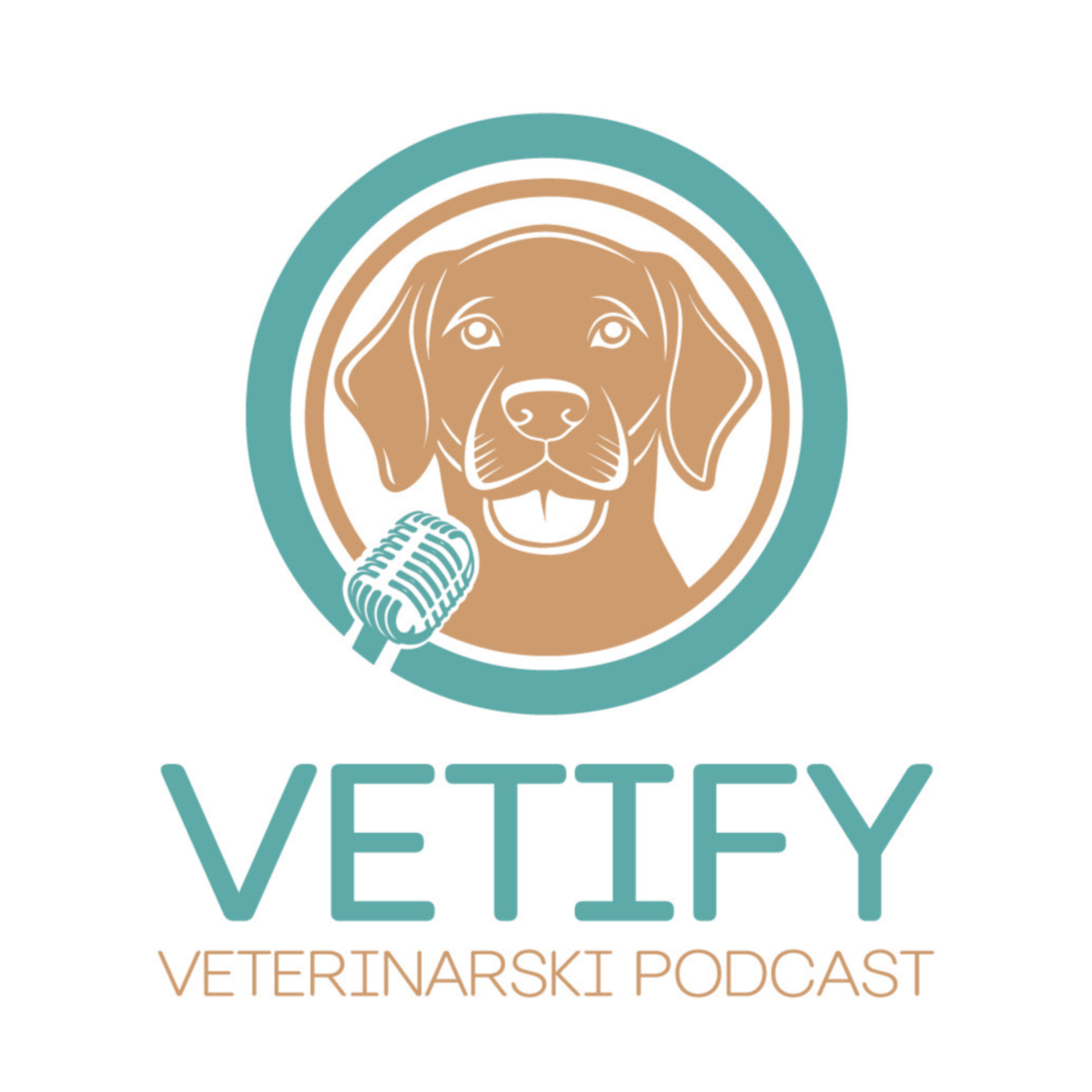 Vetify Podcast