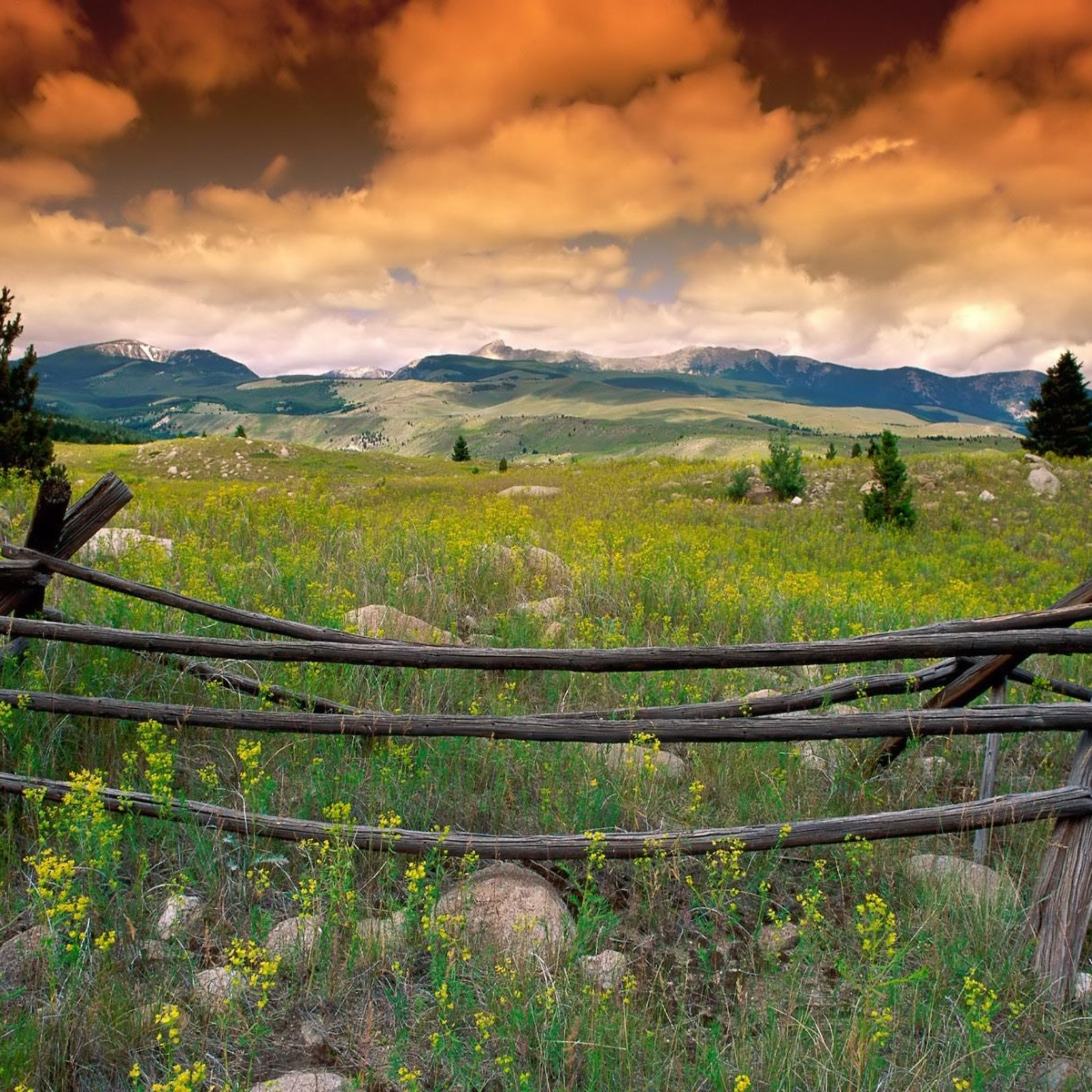 Mucha Property Partners Presents: Billings MT Property Showcase podcast artwork