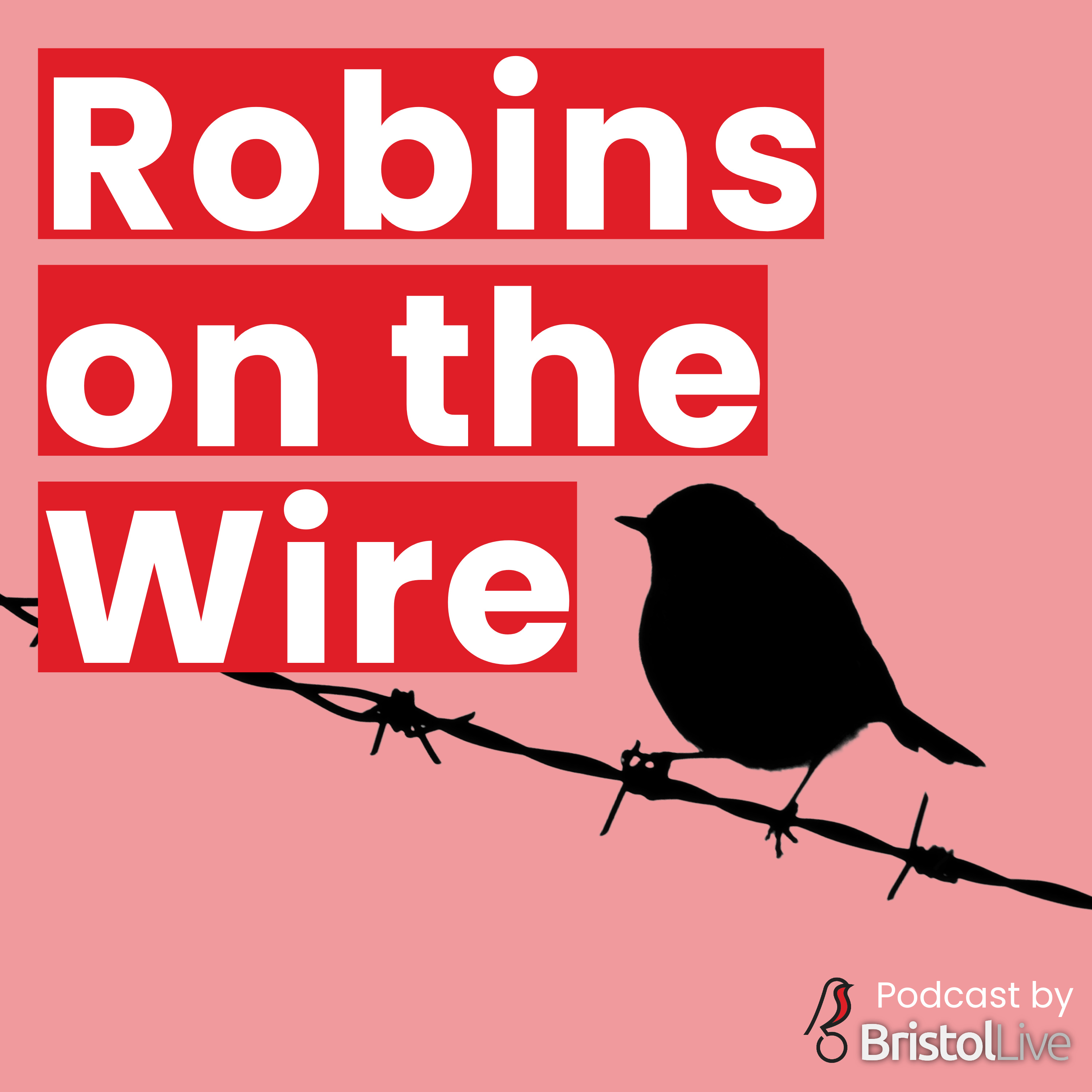 Robins on the Wire