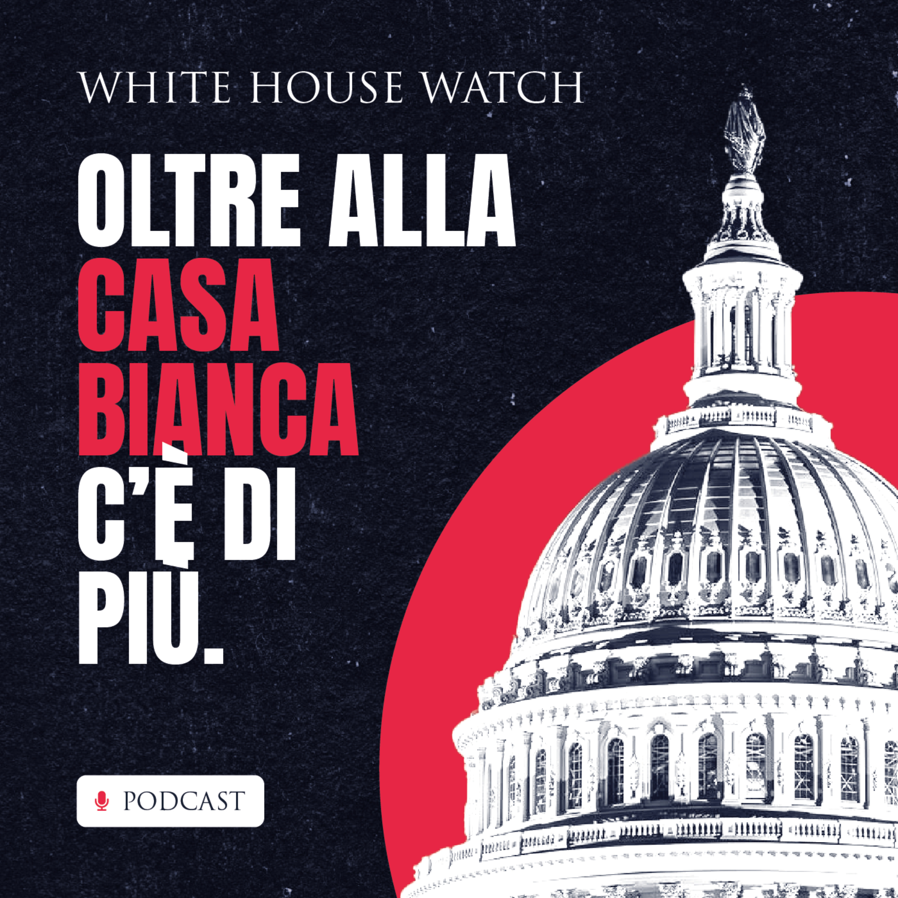 Midterm 2022: Oltre alla Casa Bianca c'è di più cover art