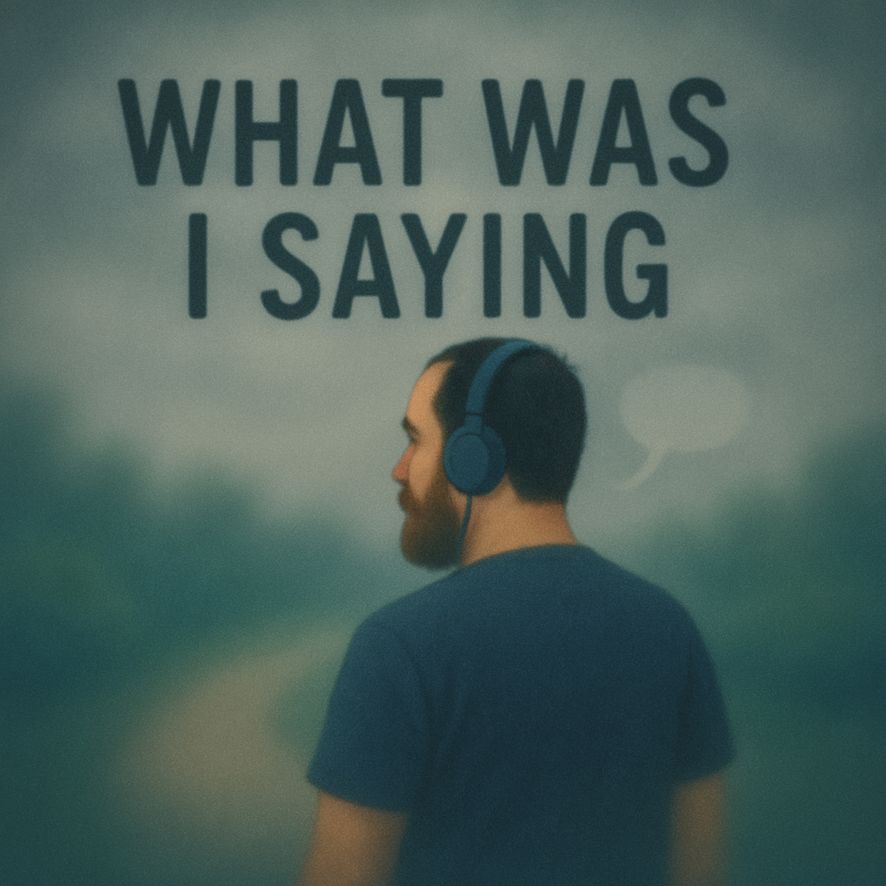 چی داشتم می‌گفتم cover art