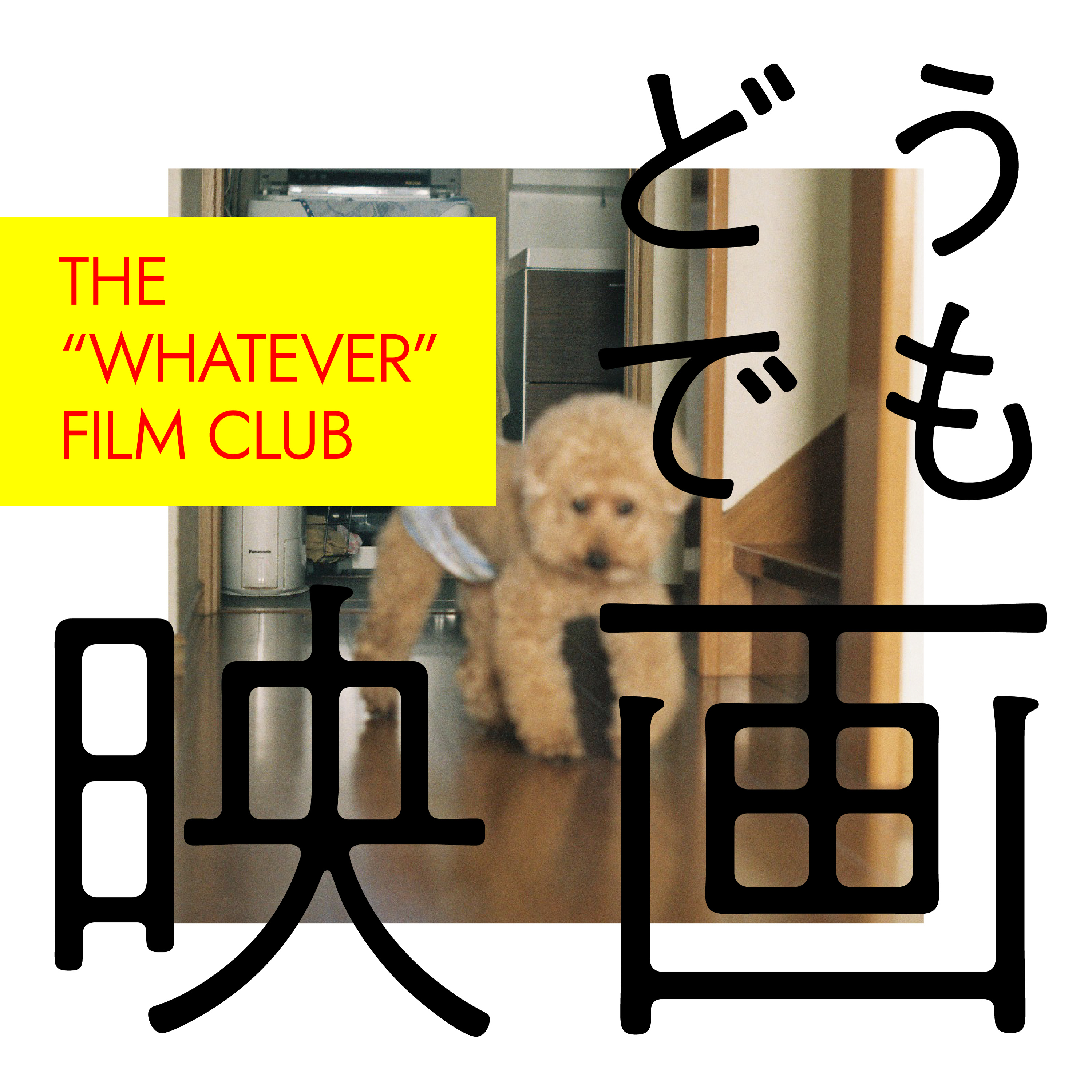どうでも映画