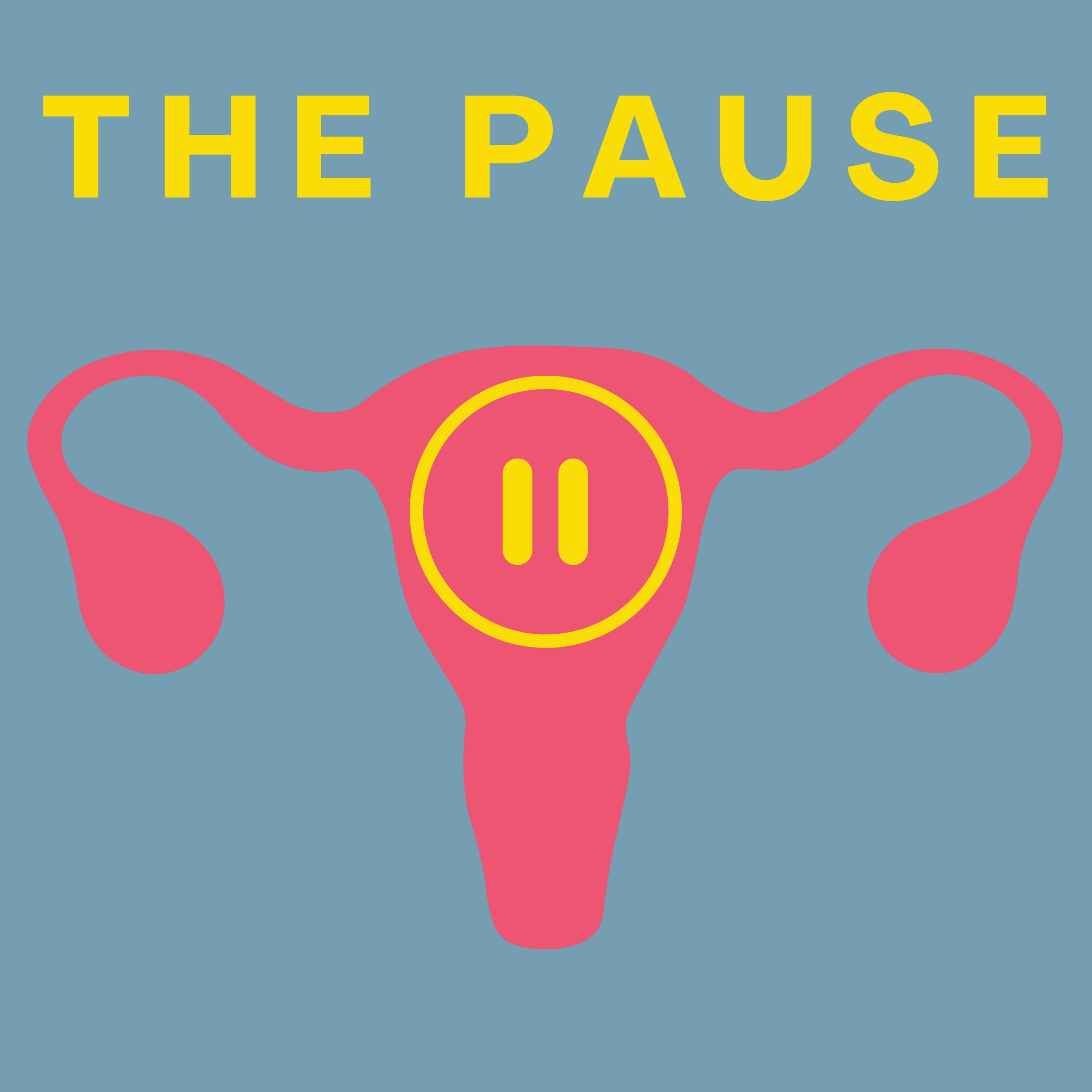 The Pause