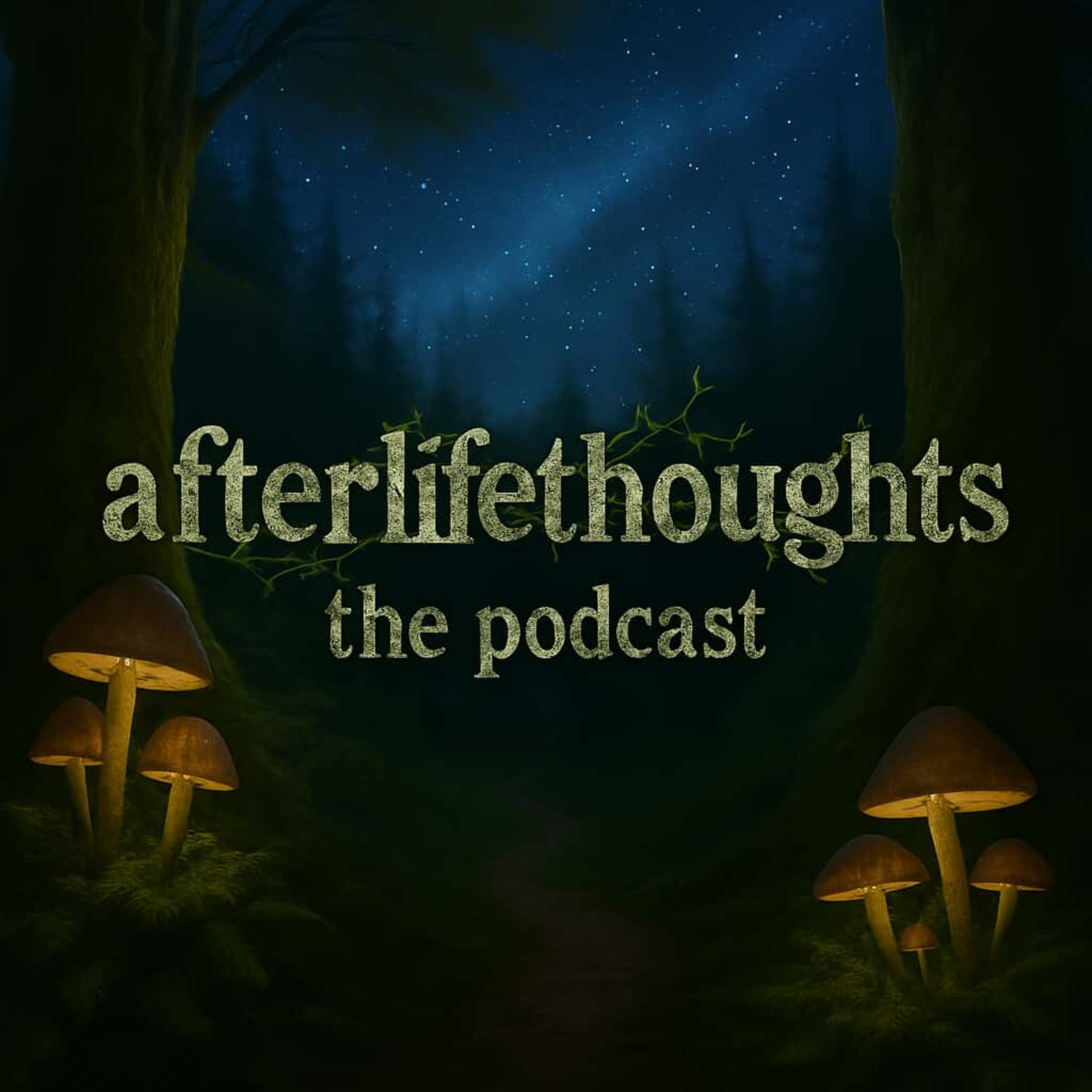 afterlifethoughts