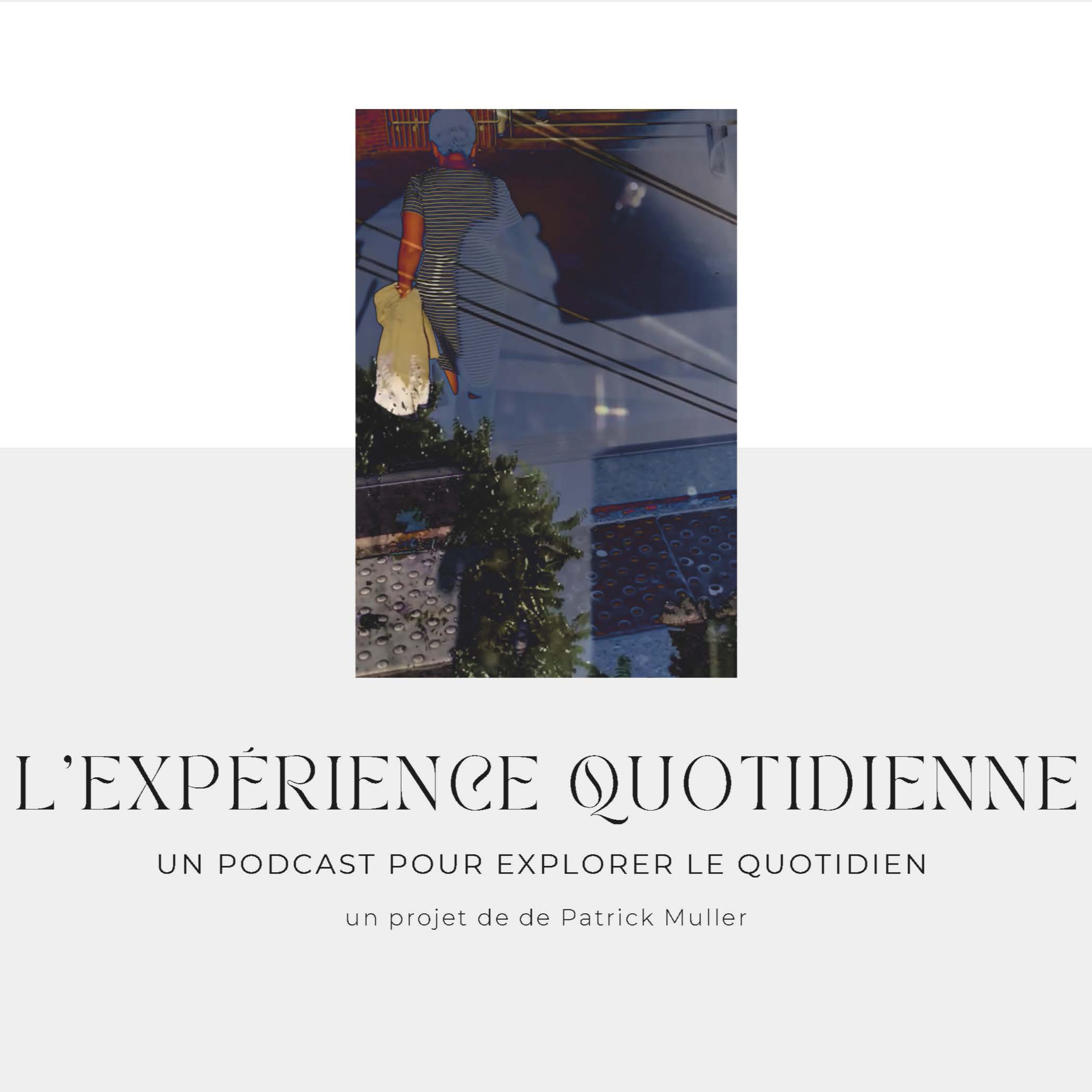 L'expérience quotidienne