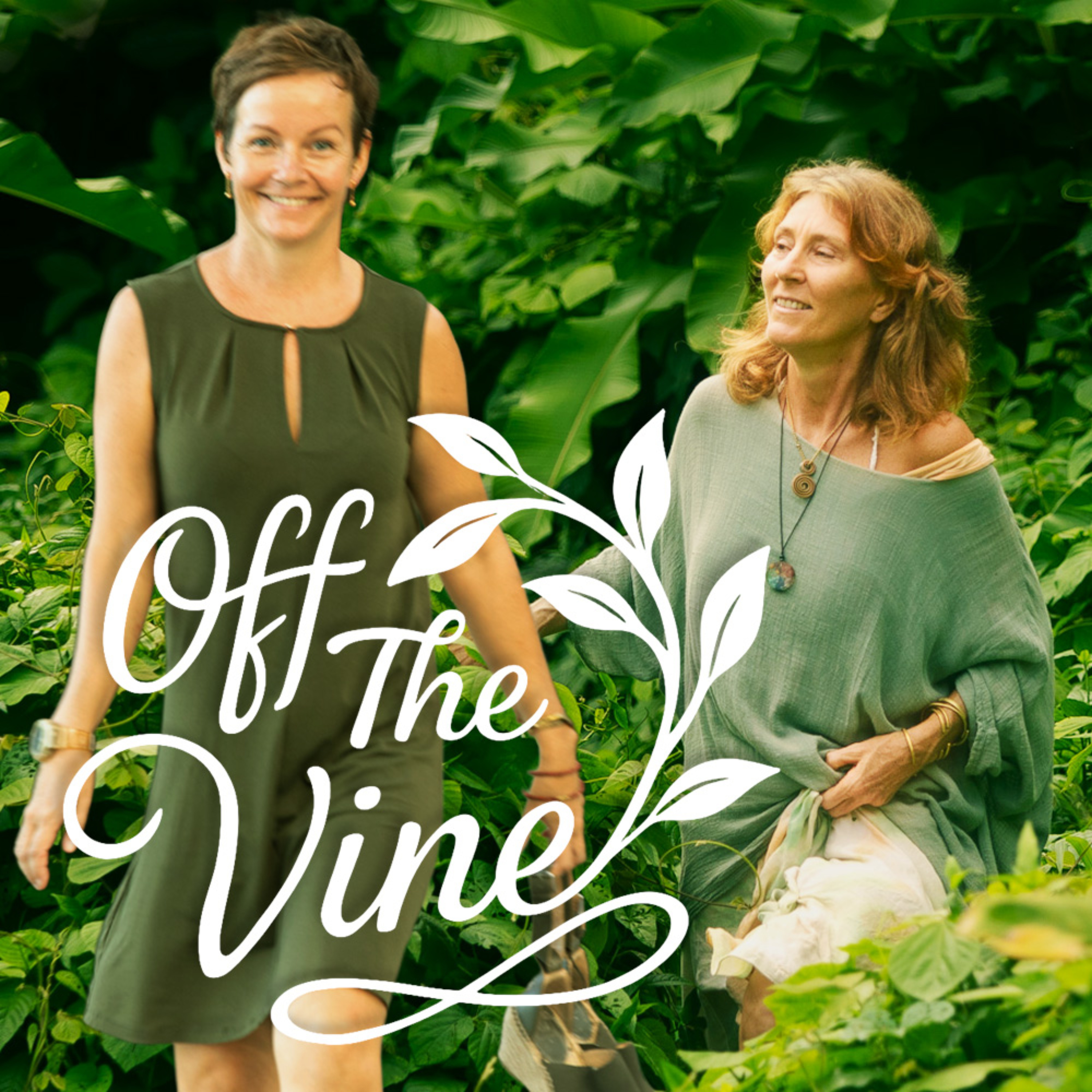 Off The Vine Podcast