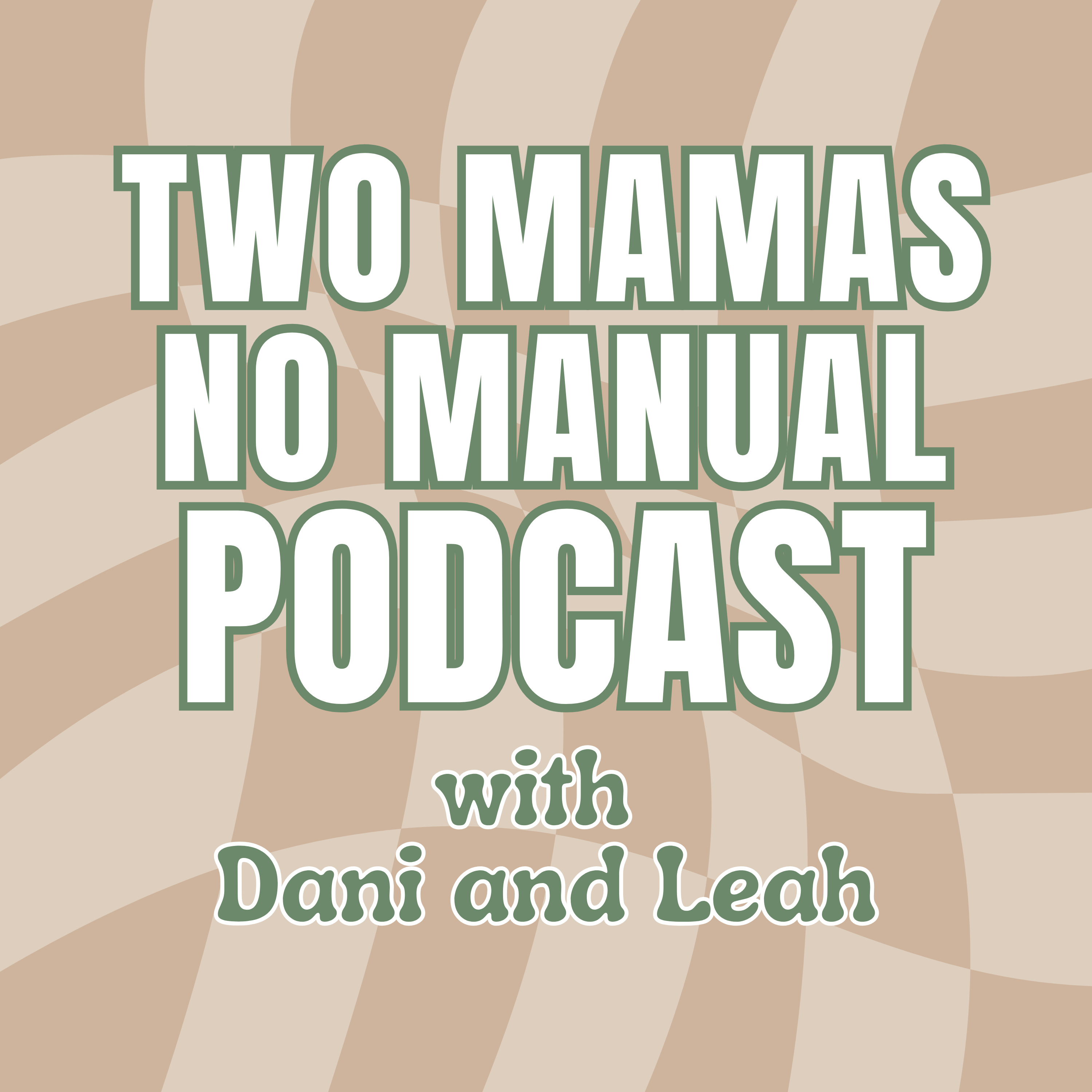 Two Mamas No Manual