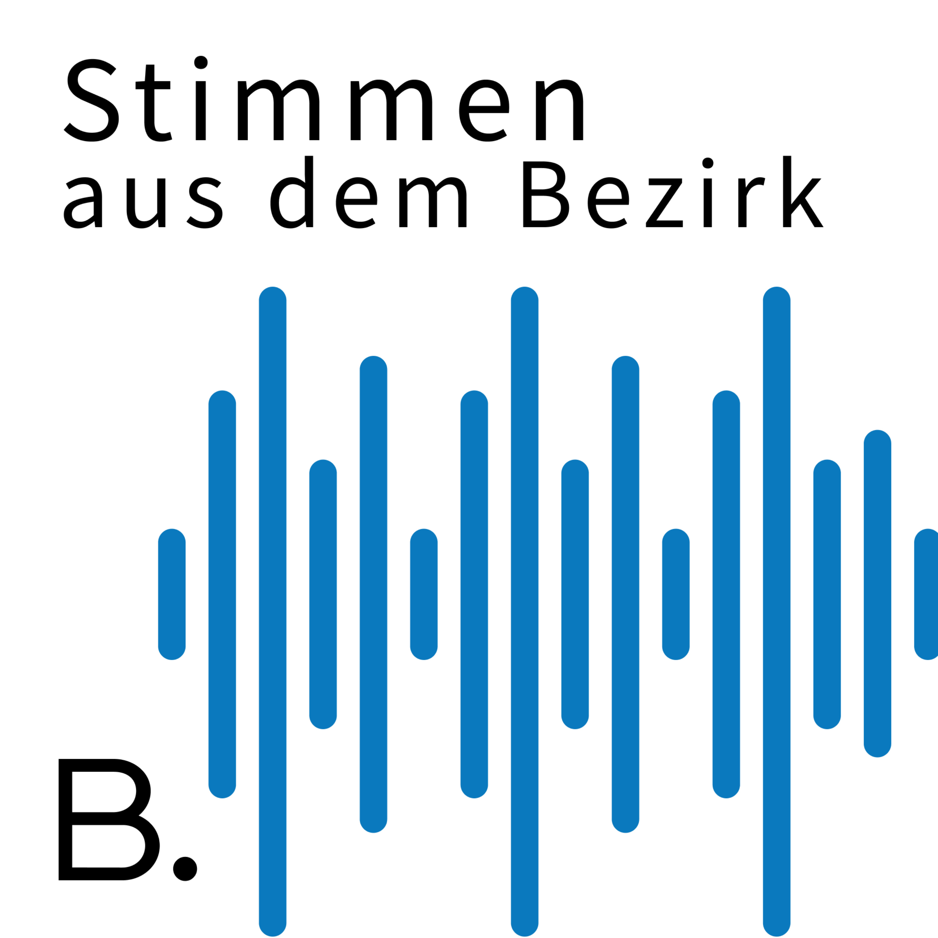 Stimmen aus dem Bezirk podcast artwork