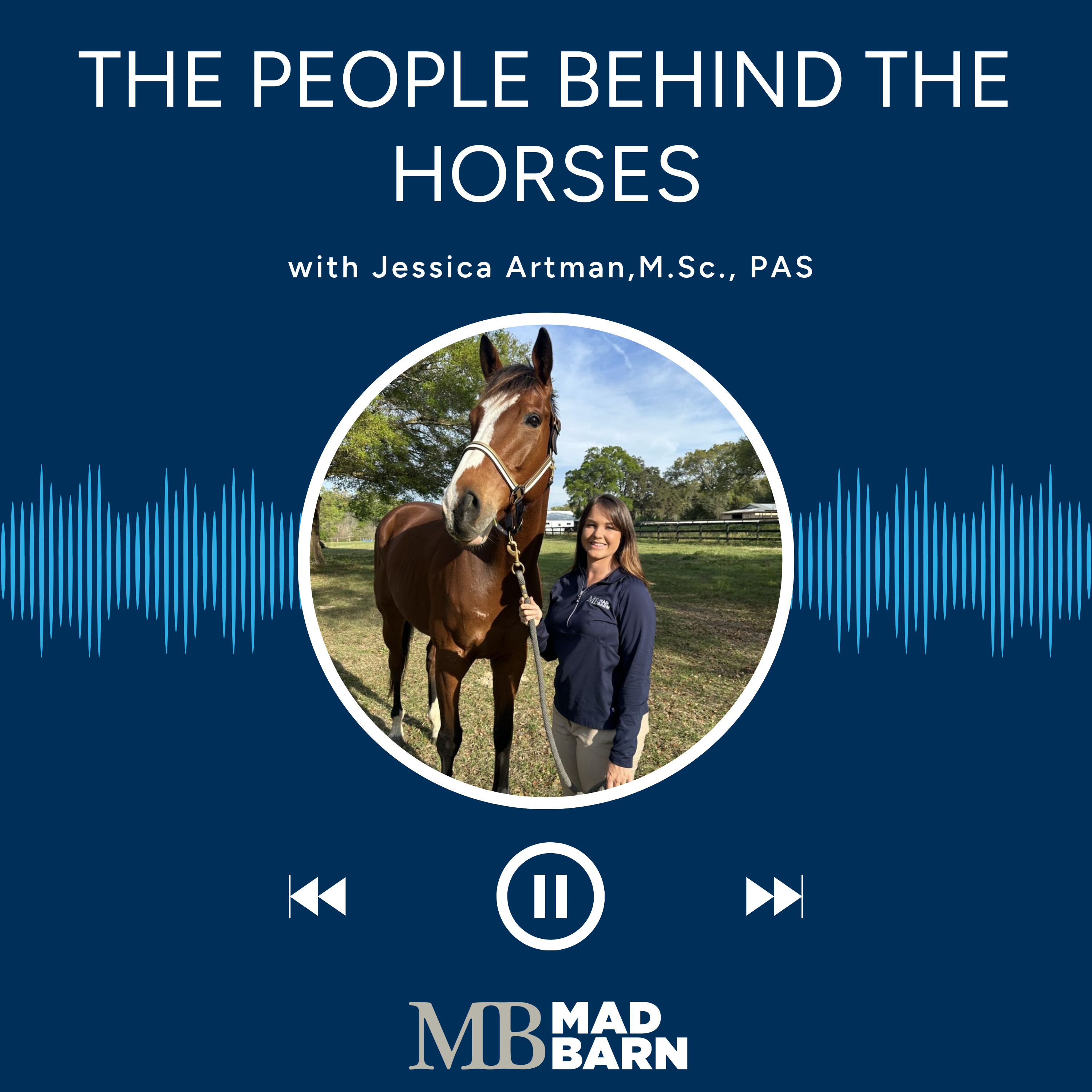 The People Behind The Horses