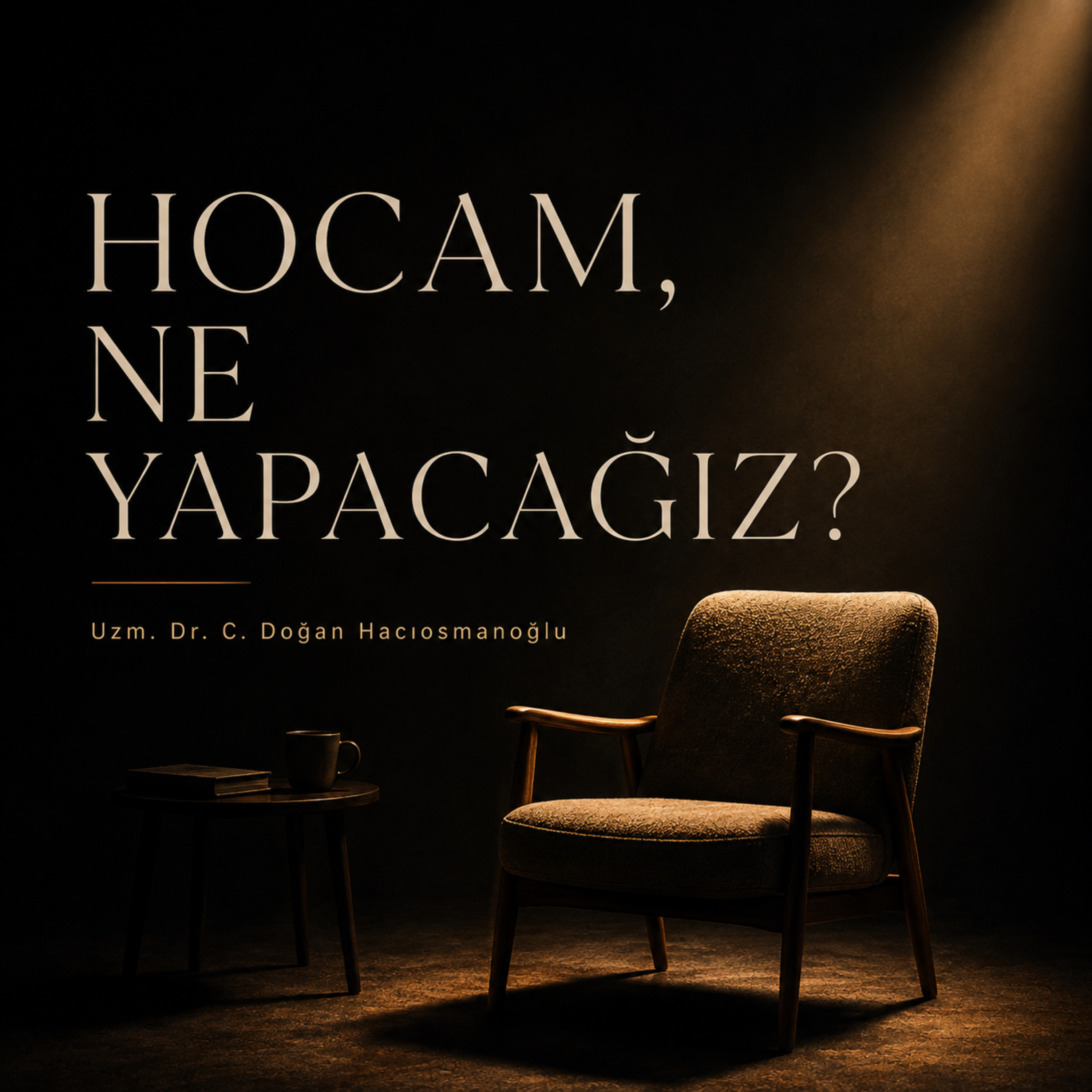 Hocam, Ne Yapacağız? podcast artwork