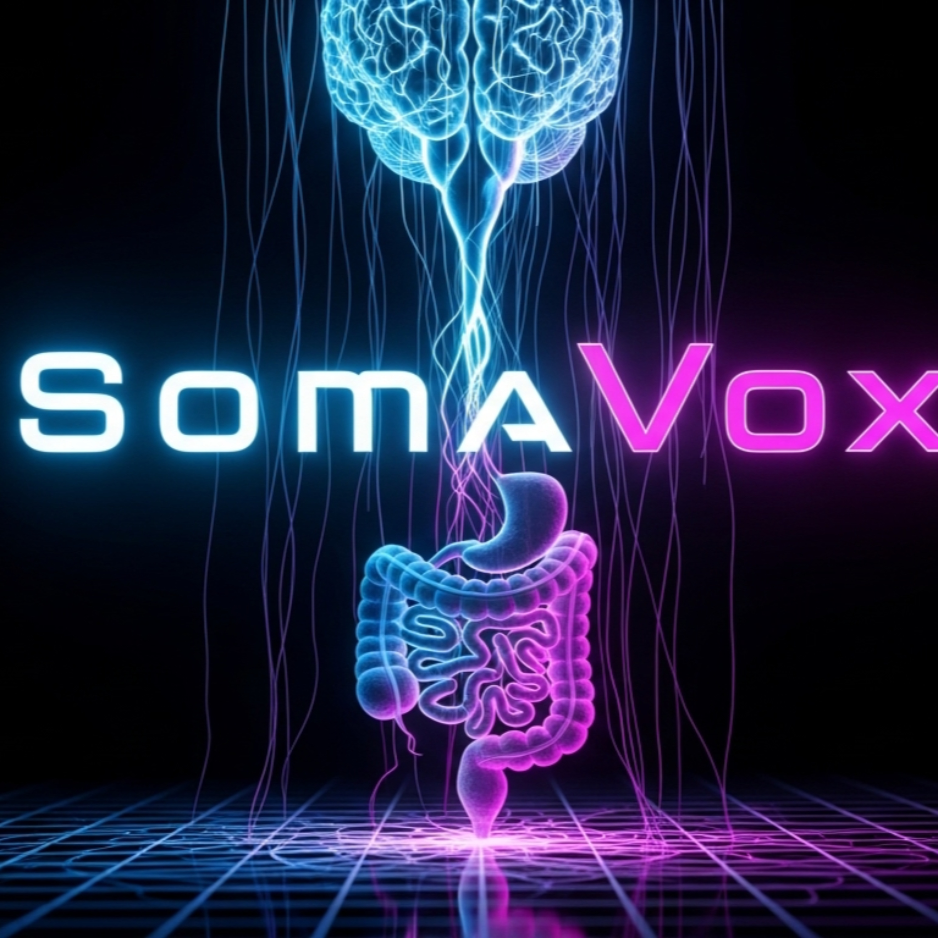 SOMAVOX
