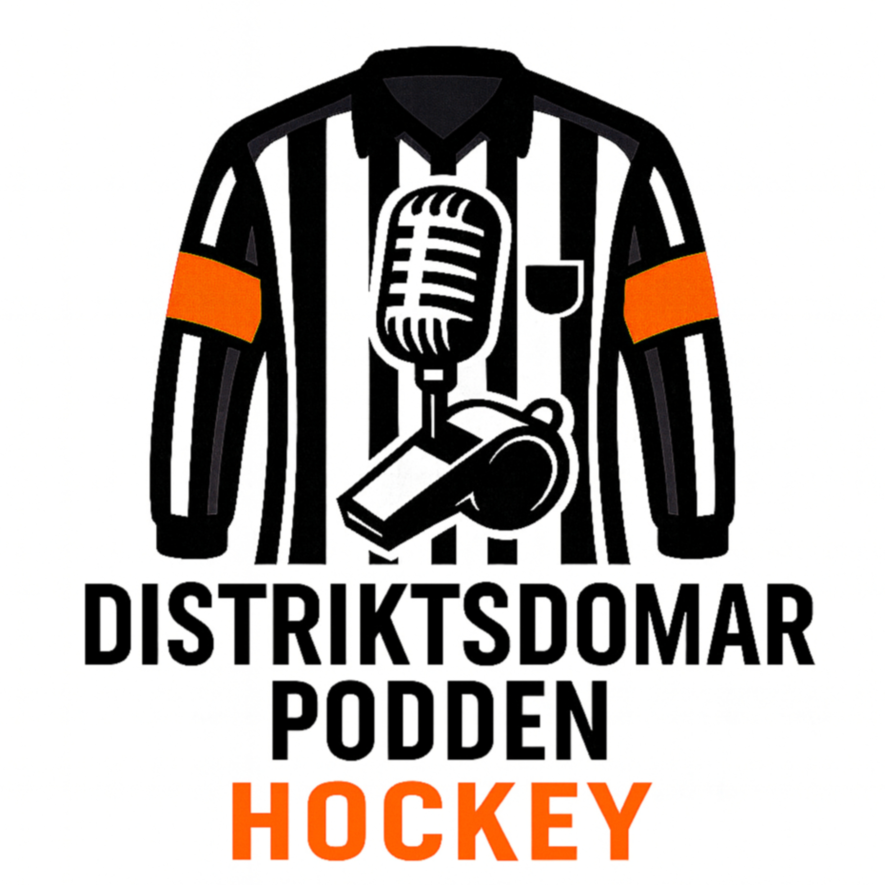 Distriktsdomarpodden - Hockey