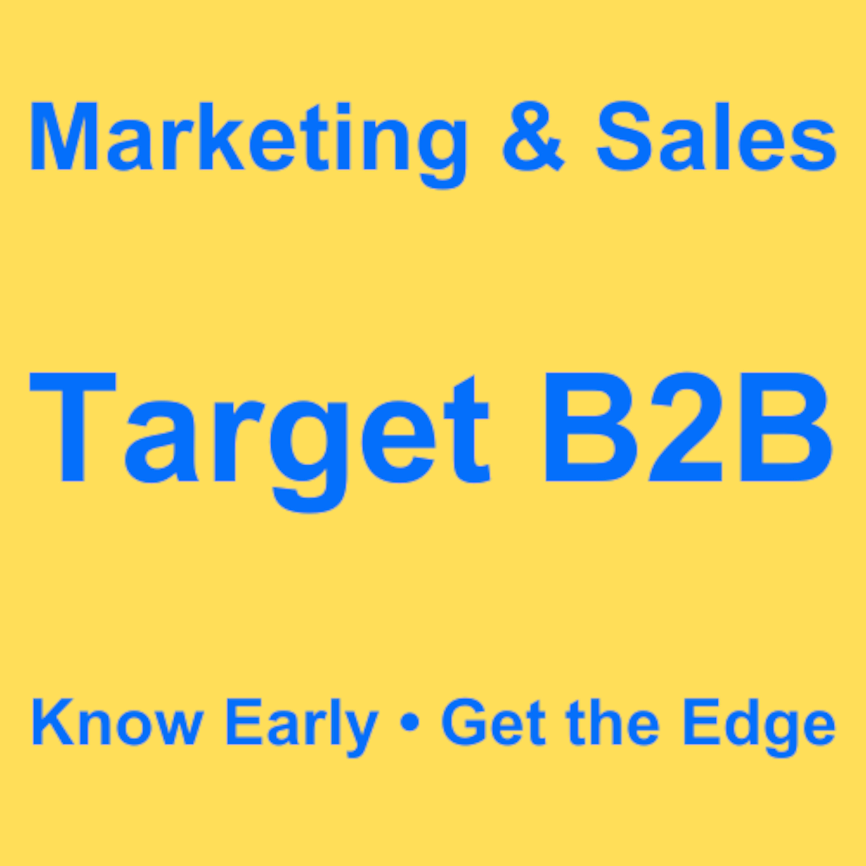 Target B2B