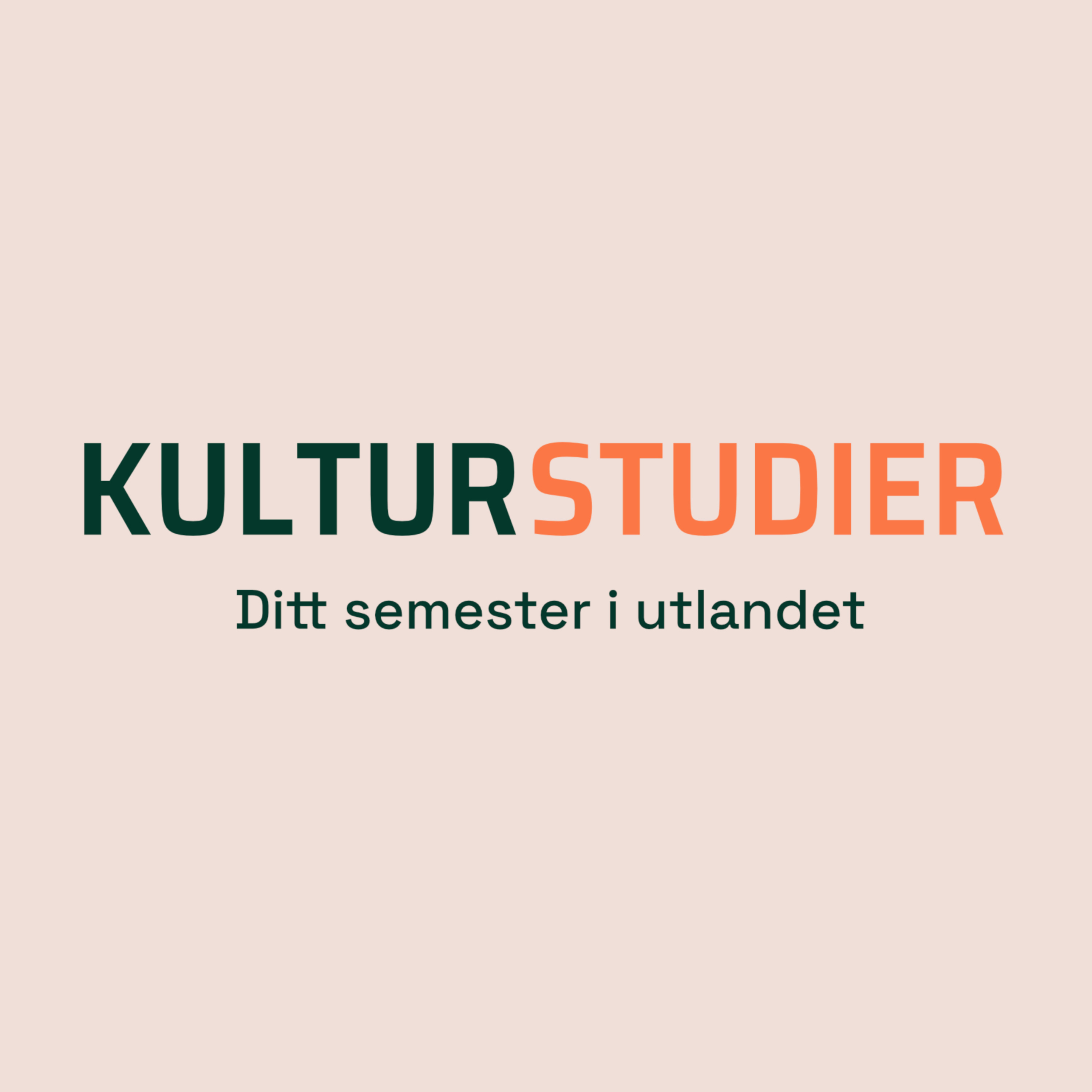 Kulturstudier: Ditt semester i utlandet