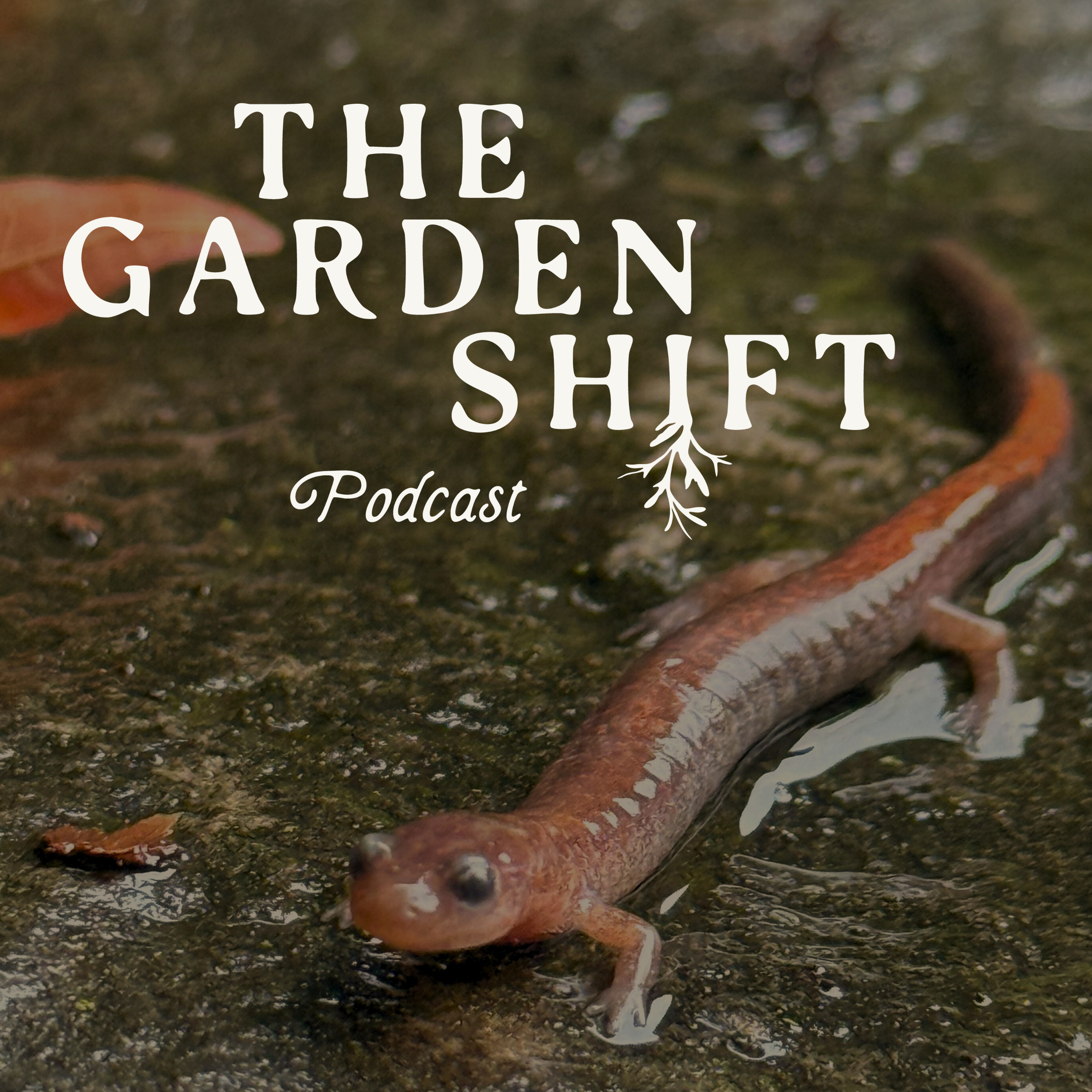 The Garden Shift