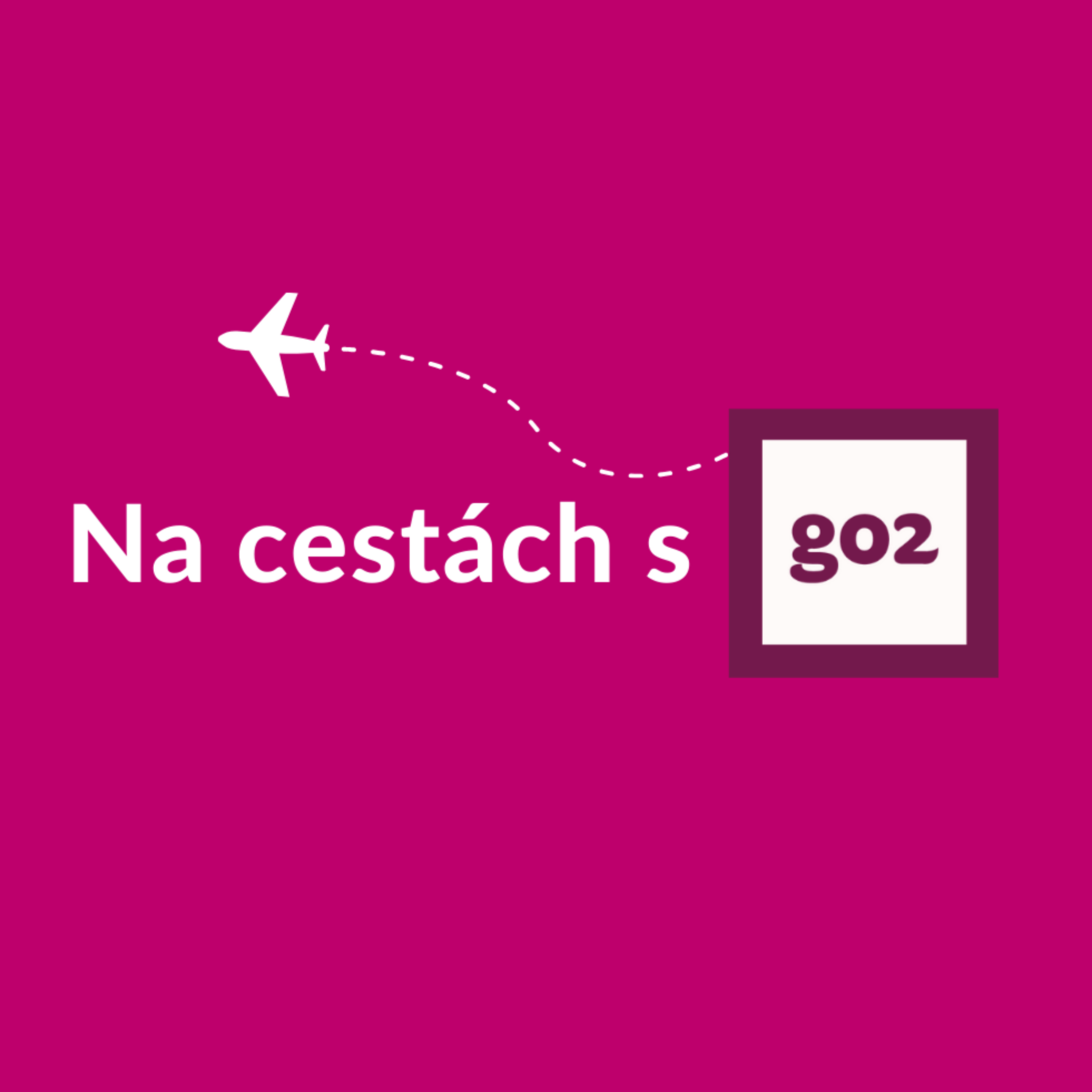 Na cestách s Go2