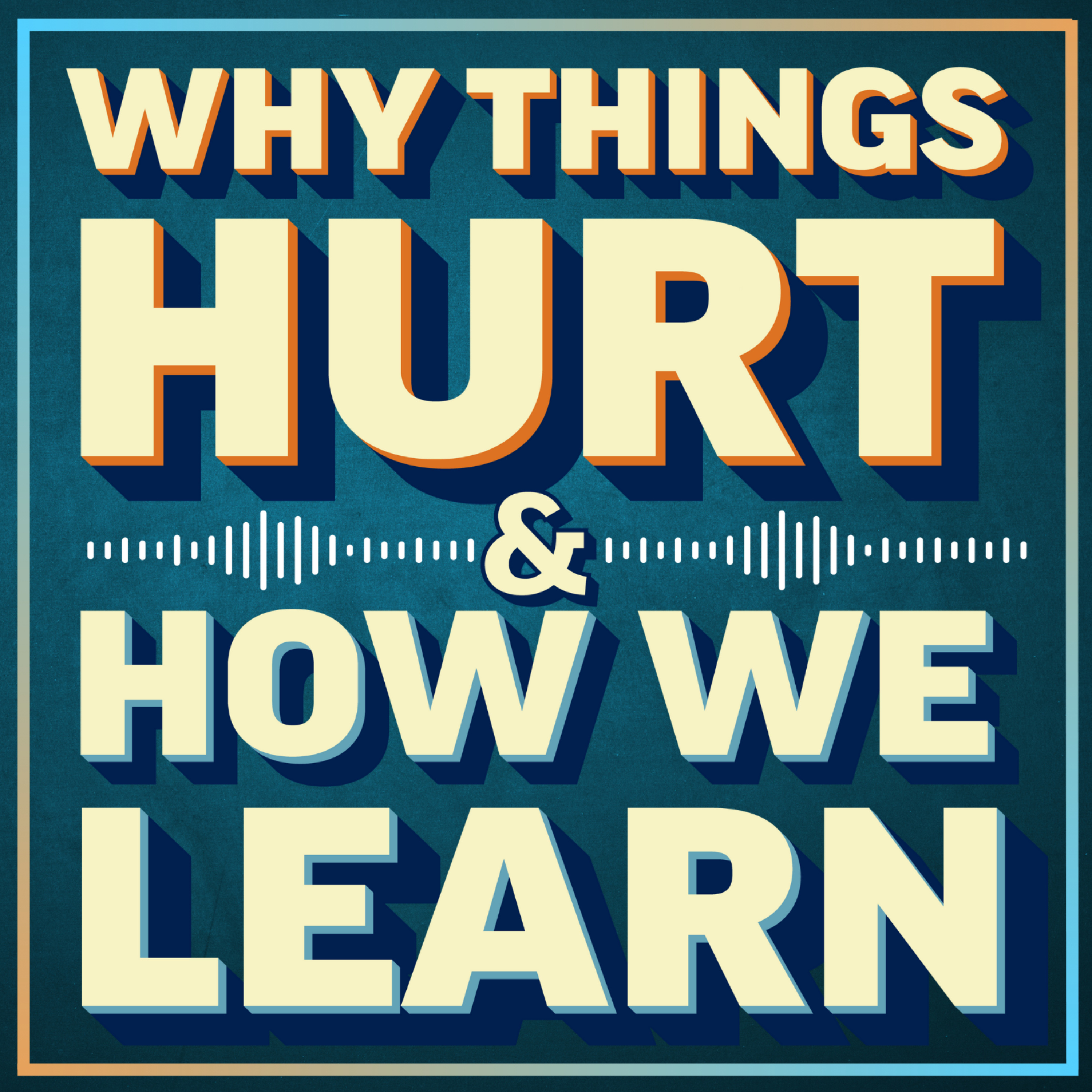 Why Things Hurt and How We Learn