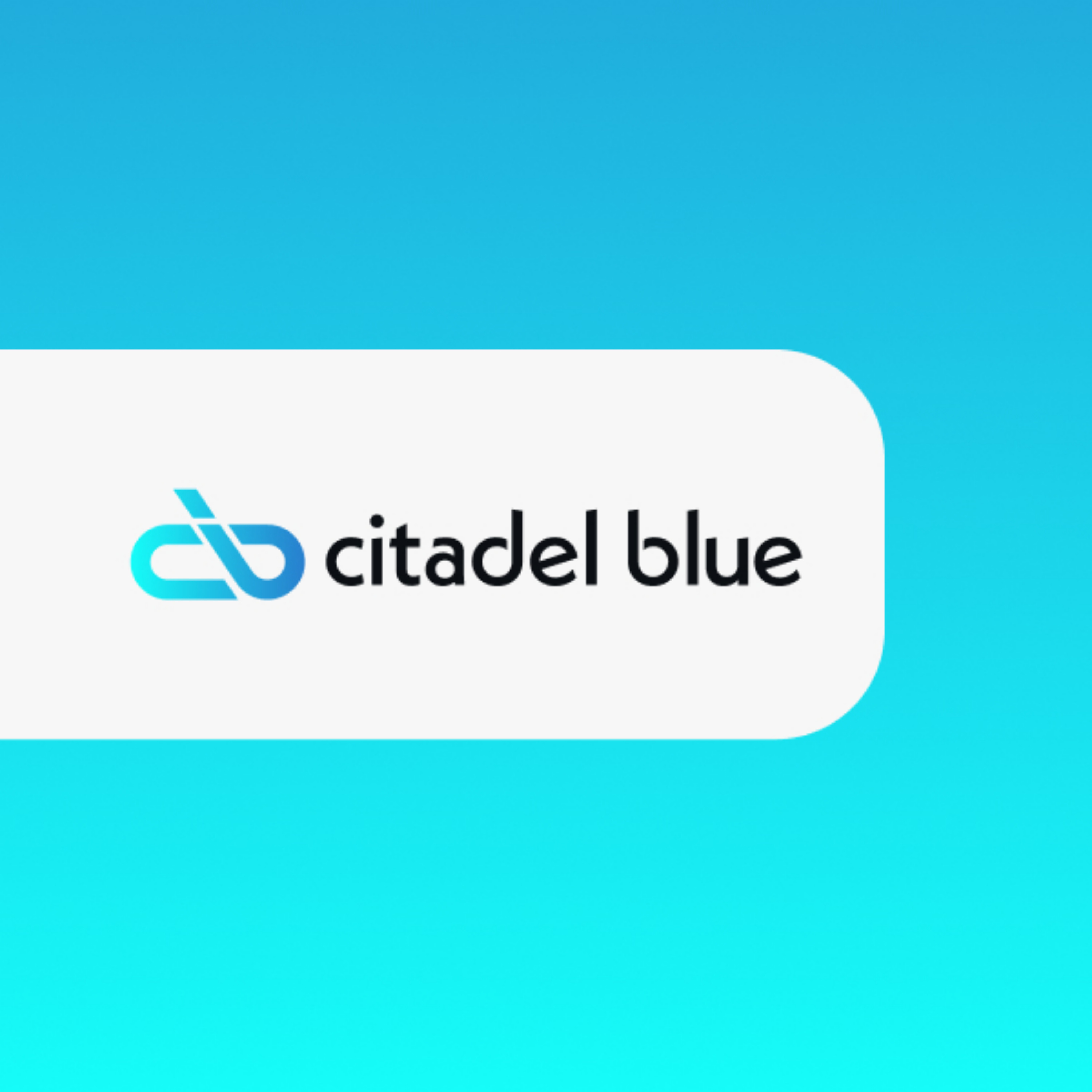 Citadel Blue Chronicles