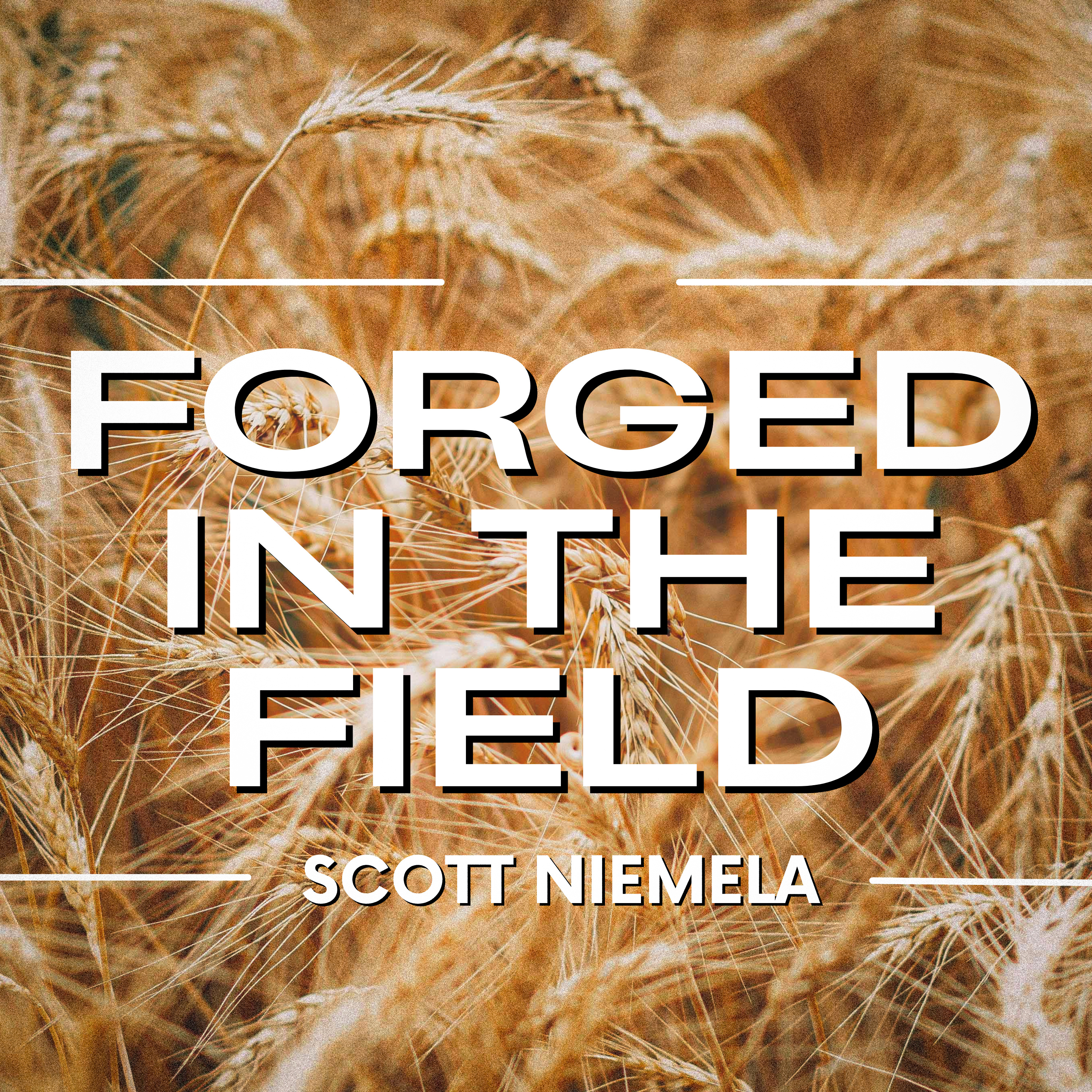 Forged in the Field