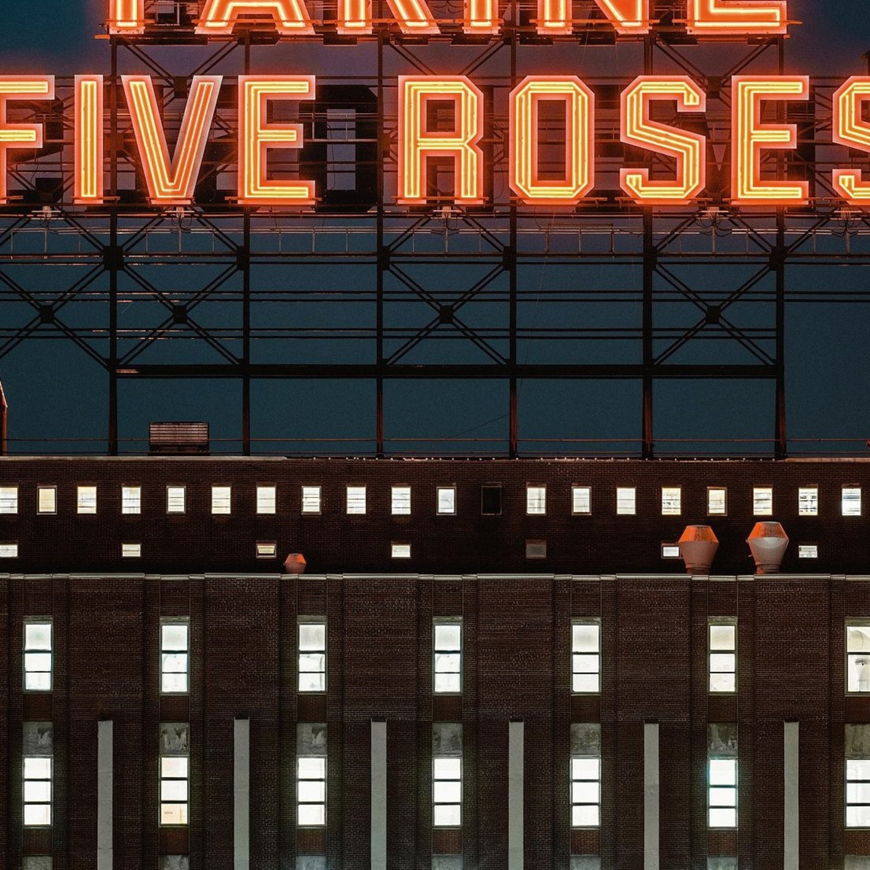 CINQ ROSES DE NUIT