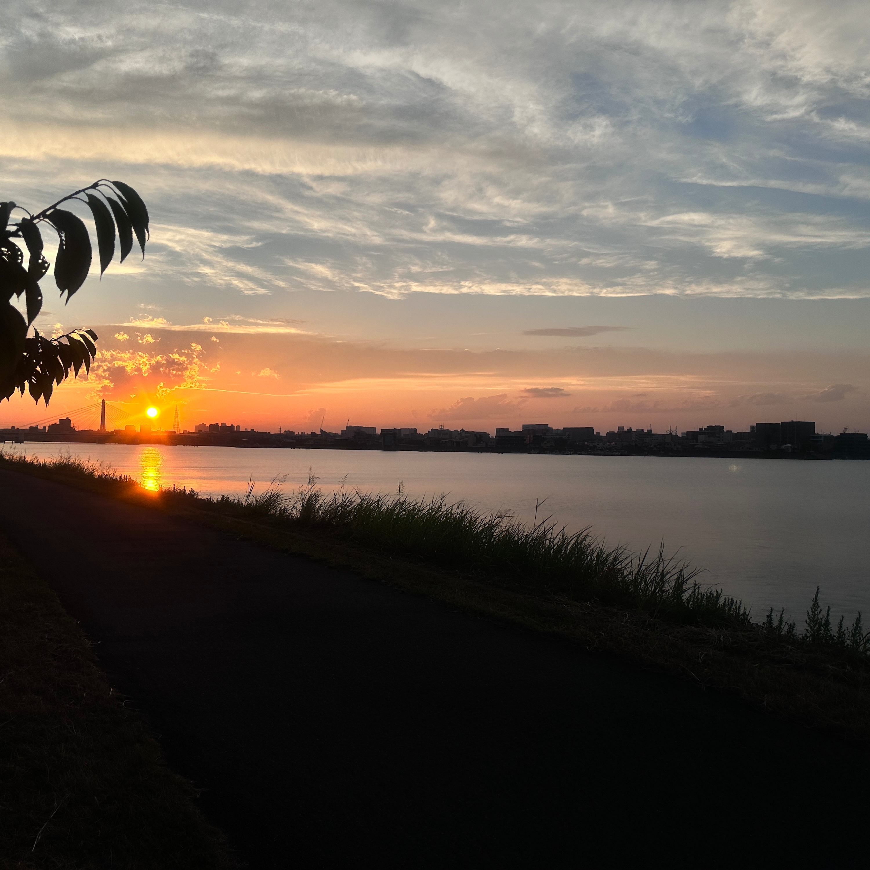 日常と社会科学研究