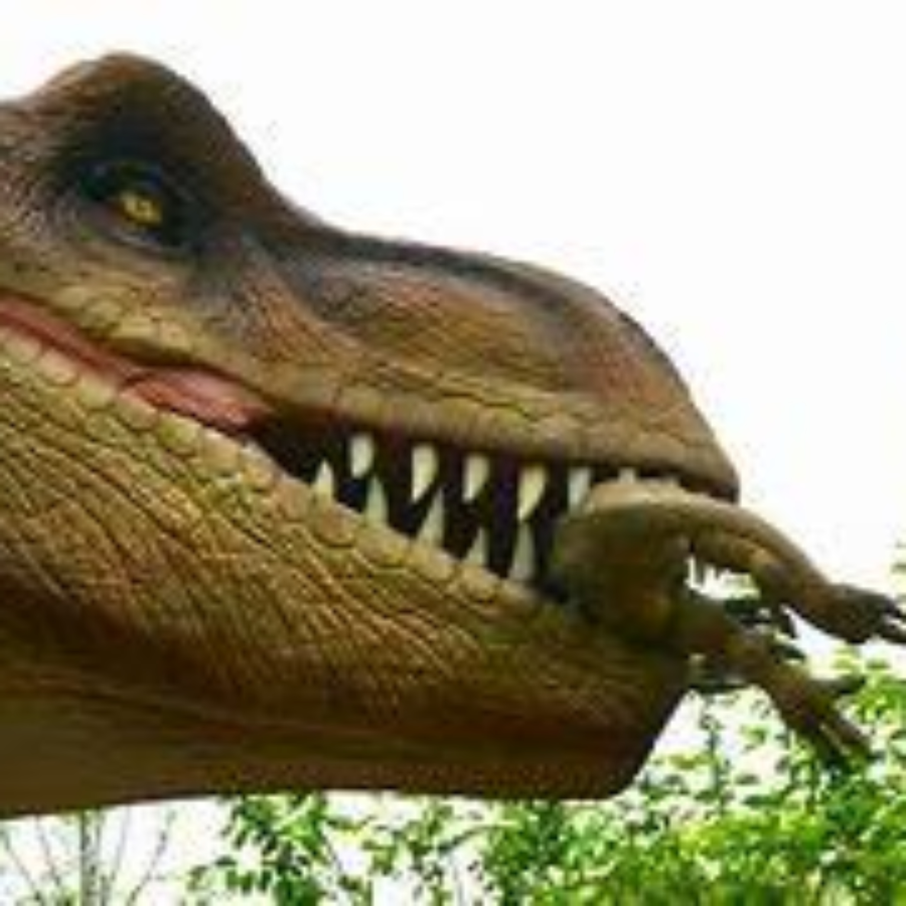 What Should We Call It?