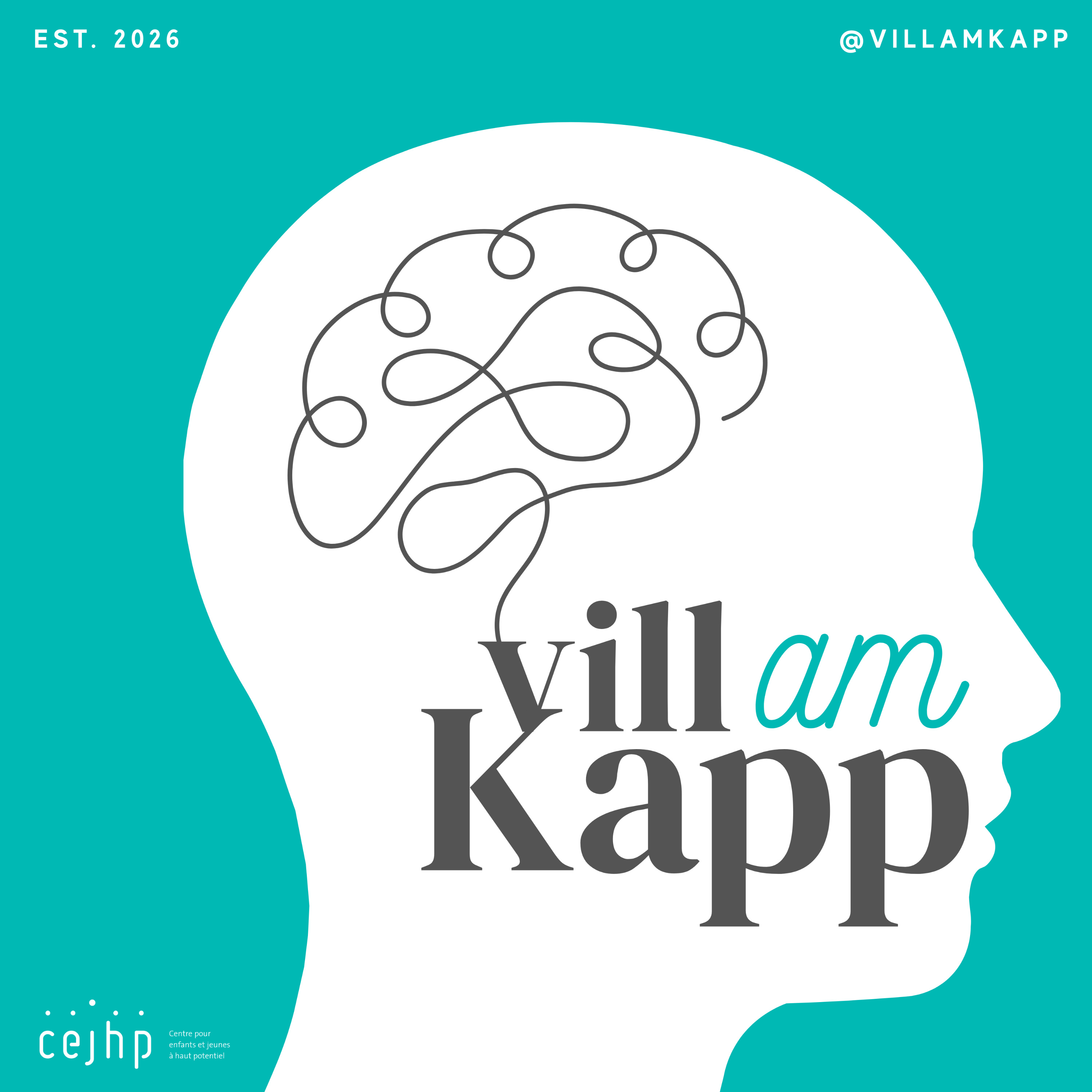 Vill am Kapp podcast artwork