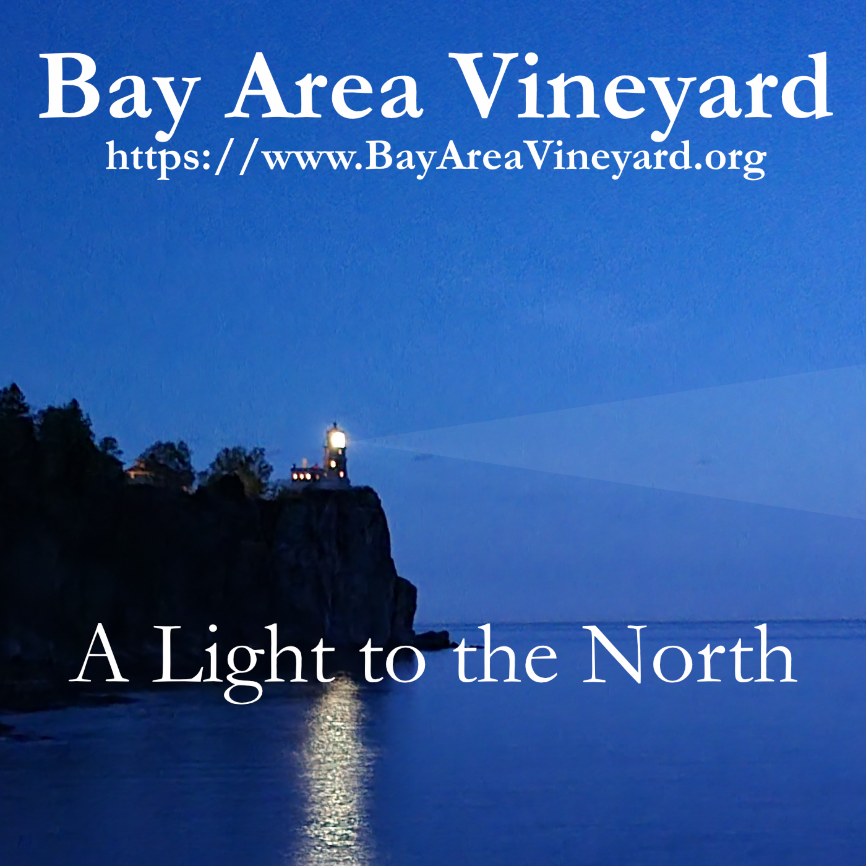 A Light to the North - Bay Area Vineyard
