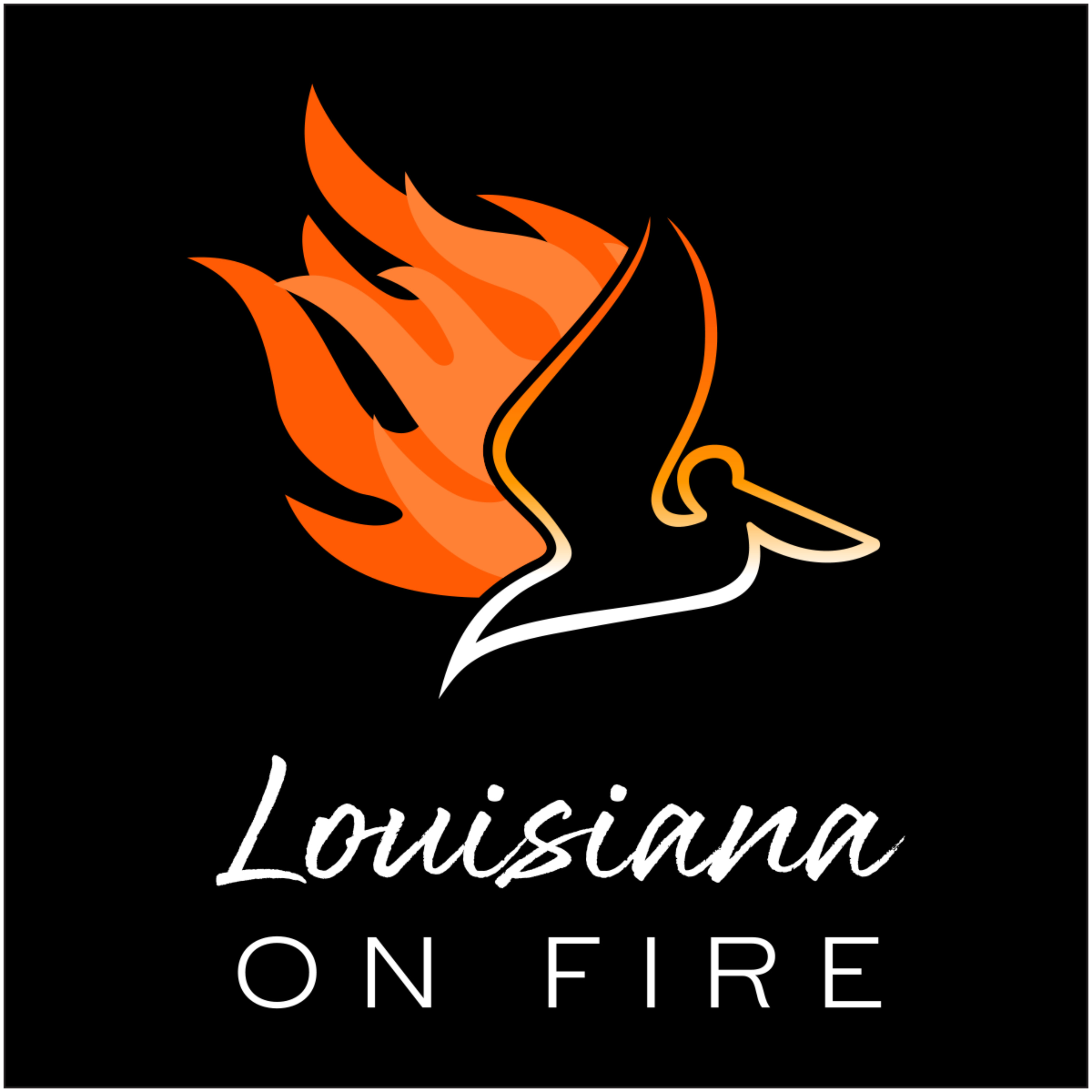 Louisiana on Fire