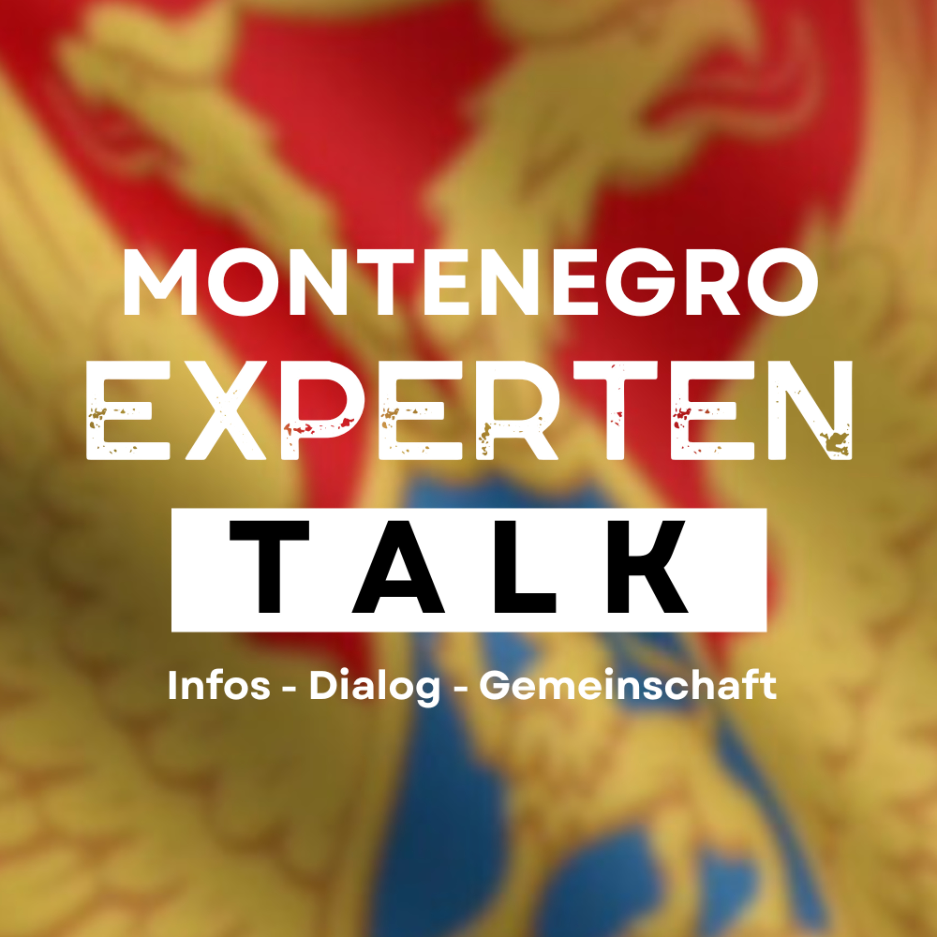 Montenegro Experten Talk