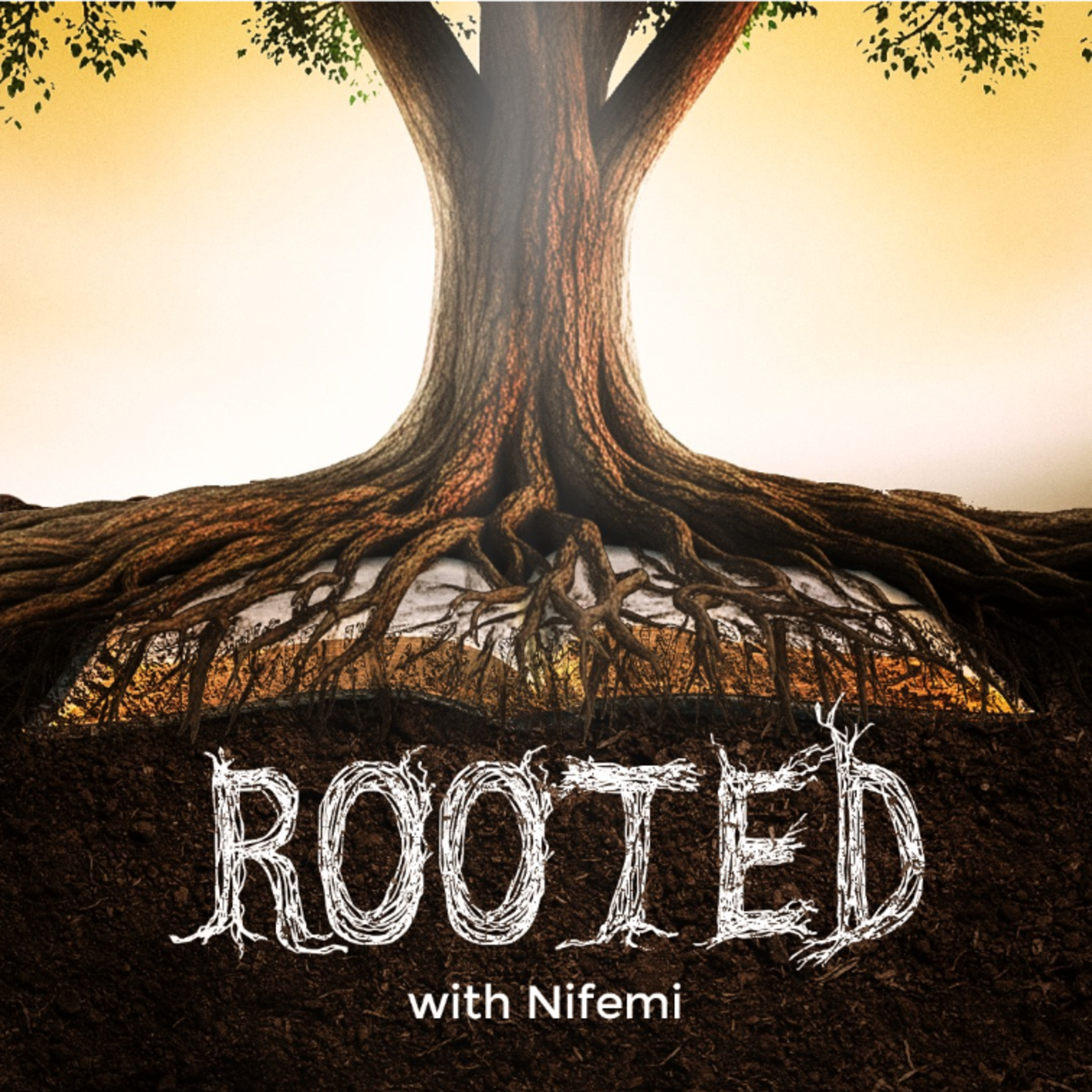 Rooted with Nifemi