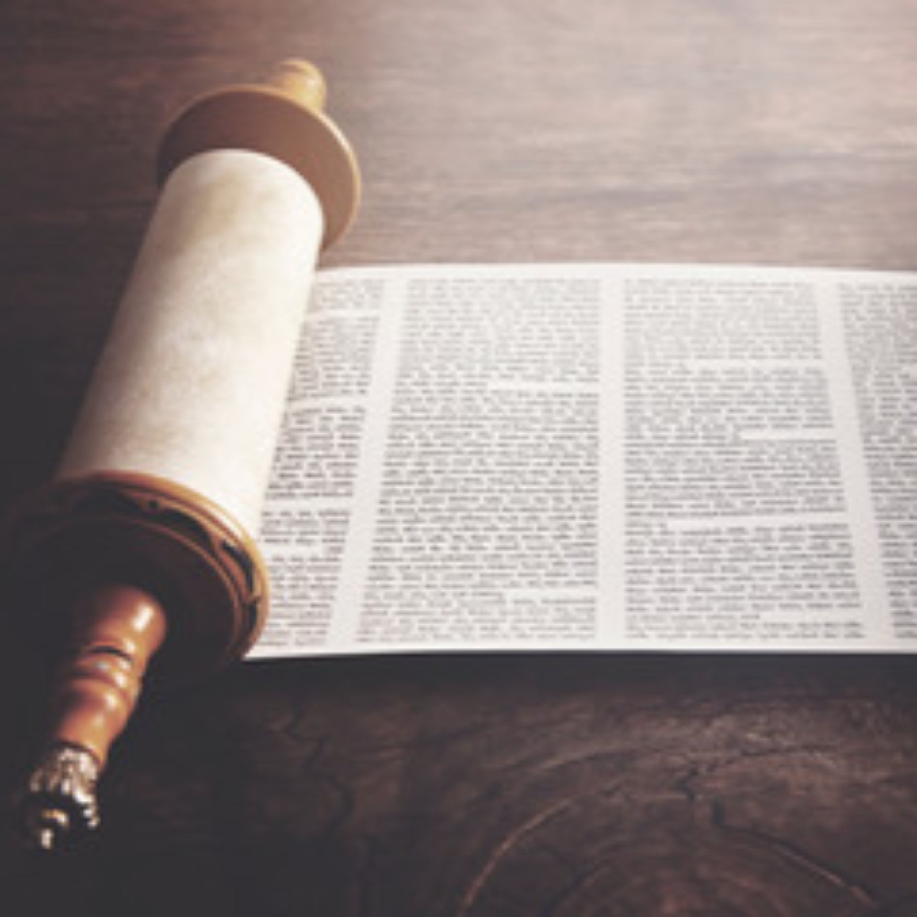The Daily Tanach Podcast