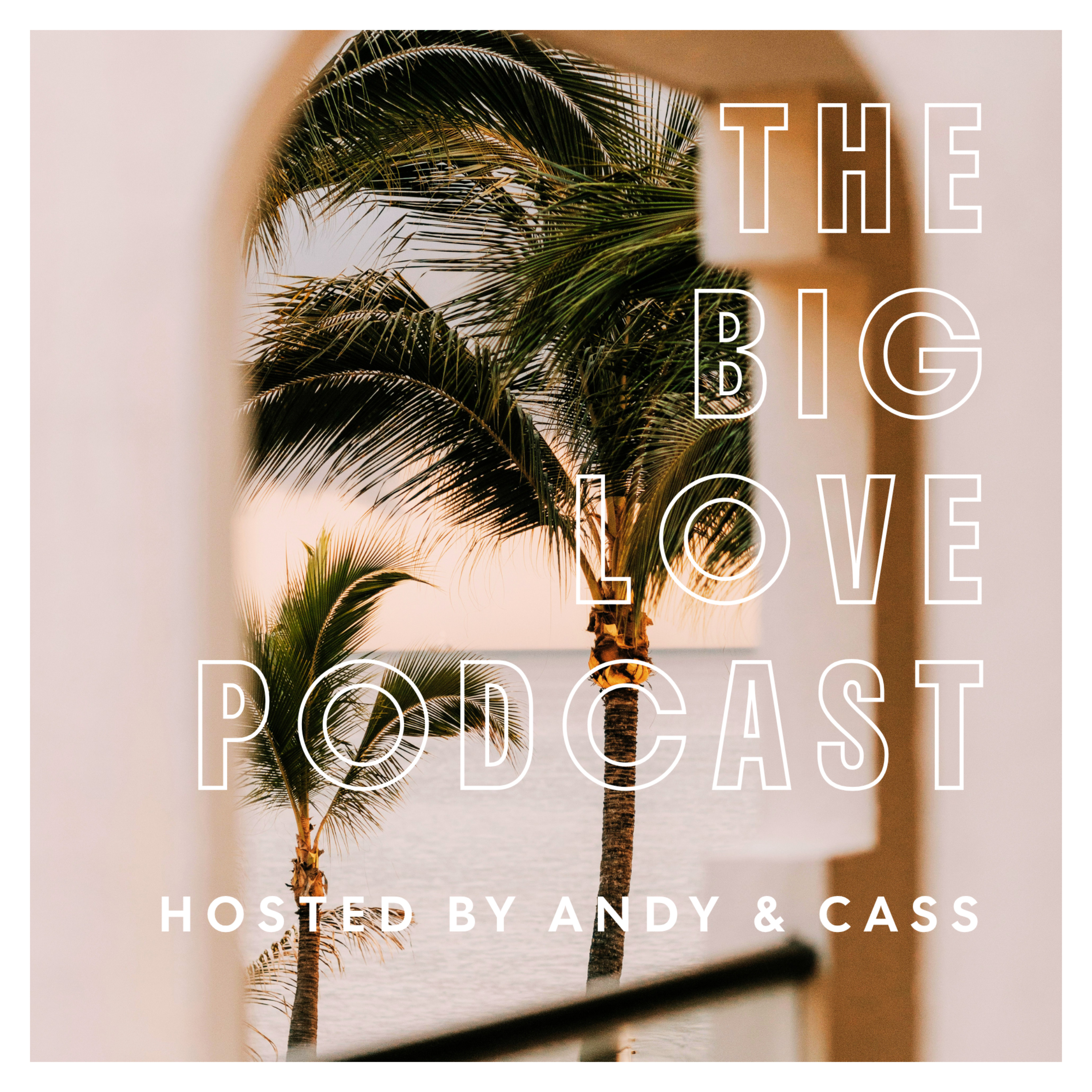 THE BIG LOVE PODCAST