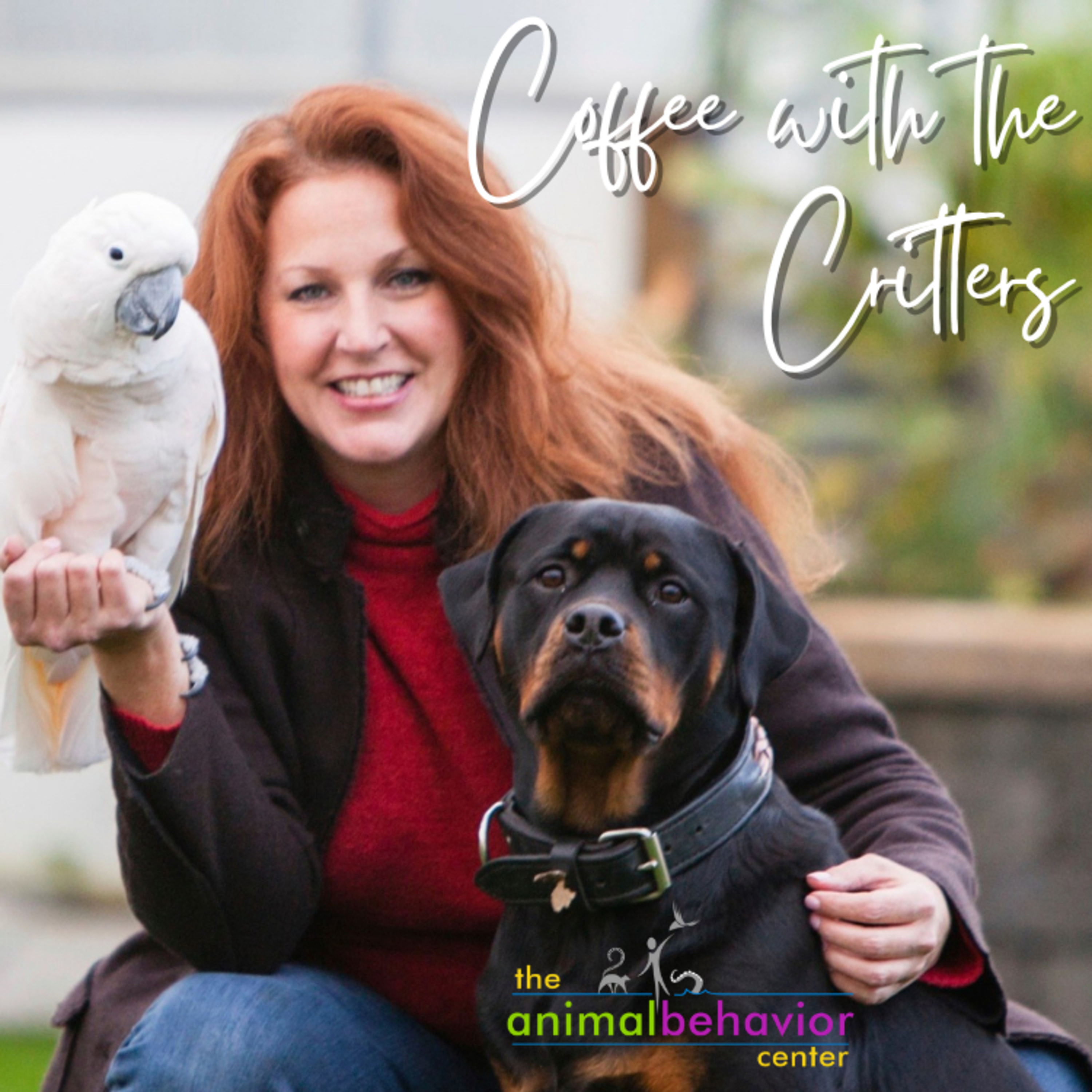 Coffee with the Critters