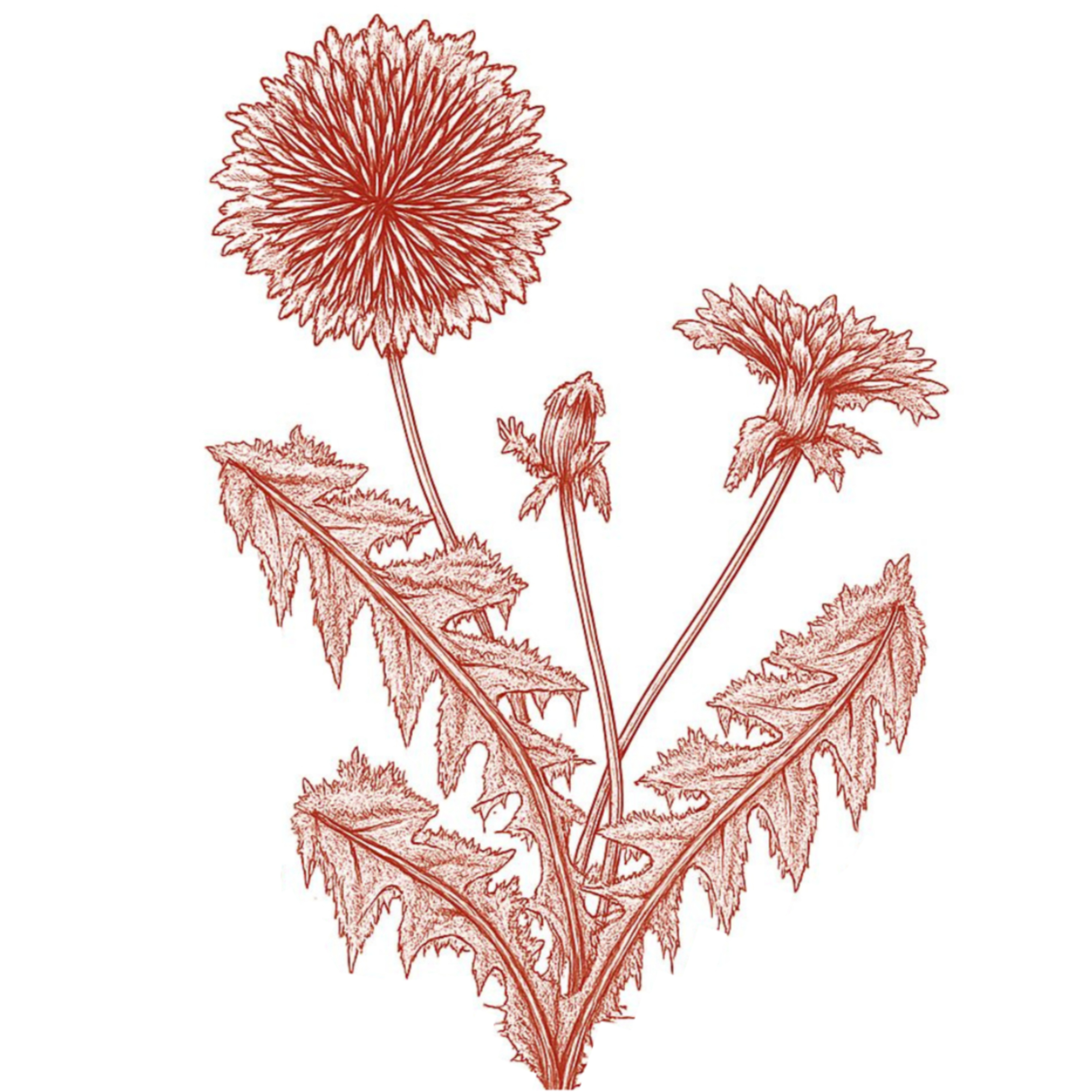 Frøken Fortidens Fremtid af Frøken Fortidens Fremtid