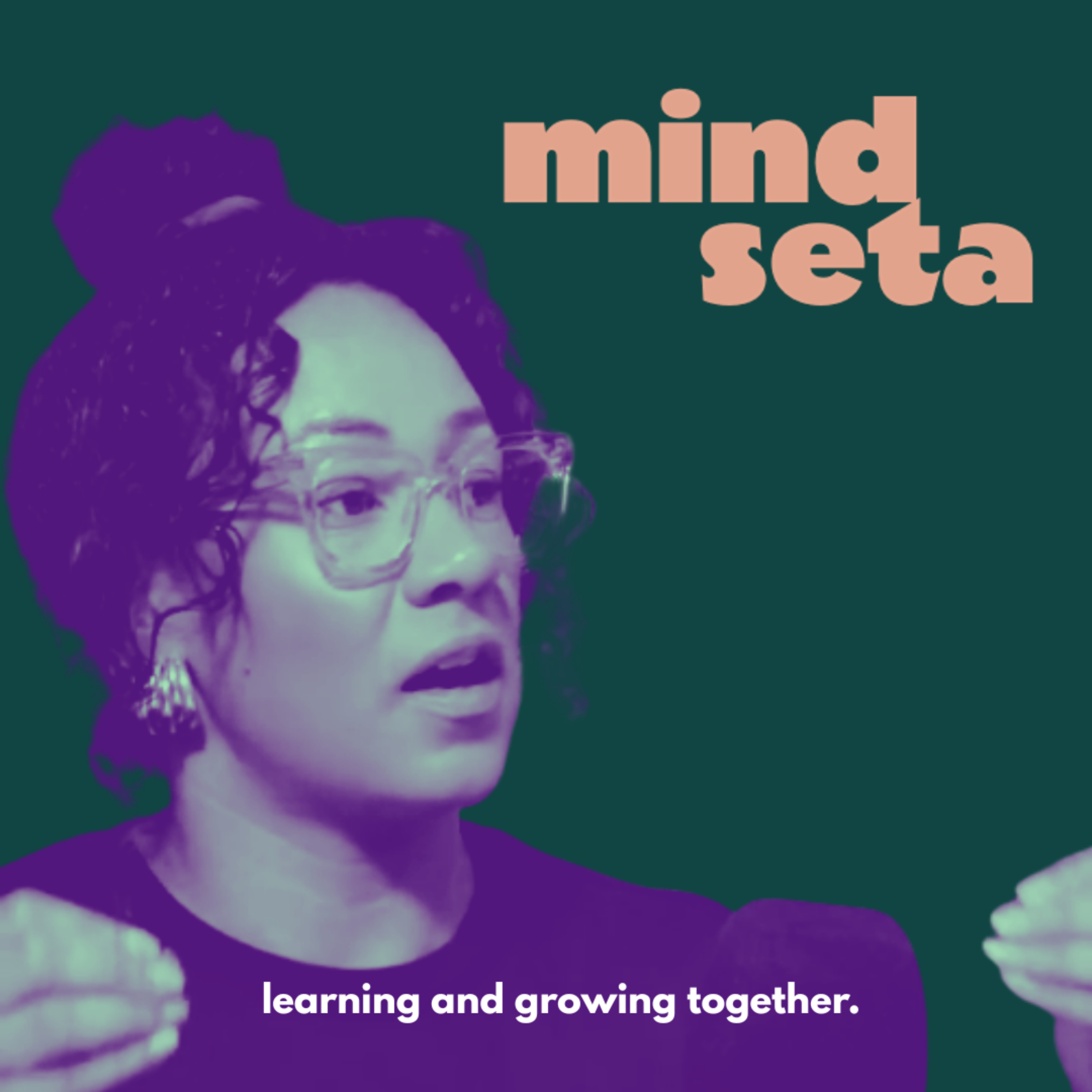 The Mindseta Podcast - learning and growing together