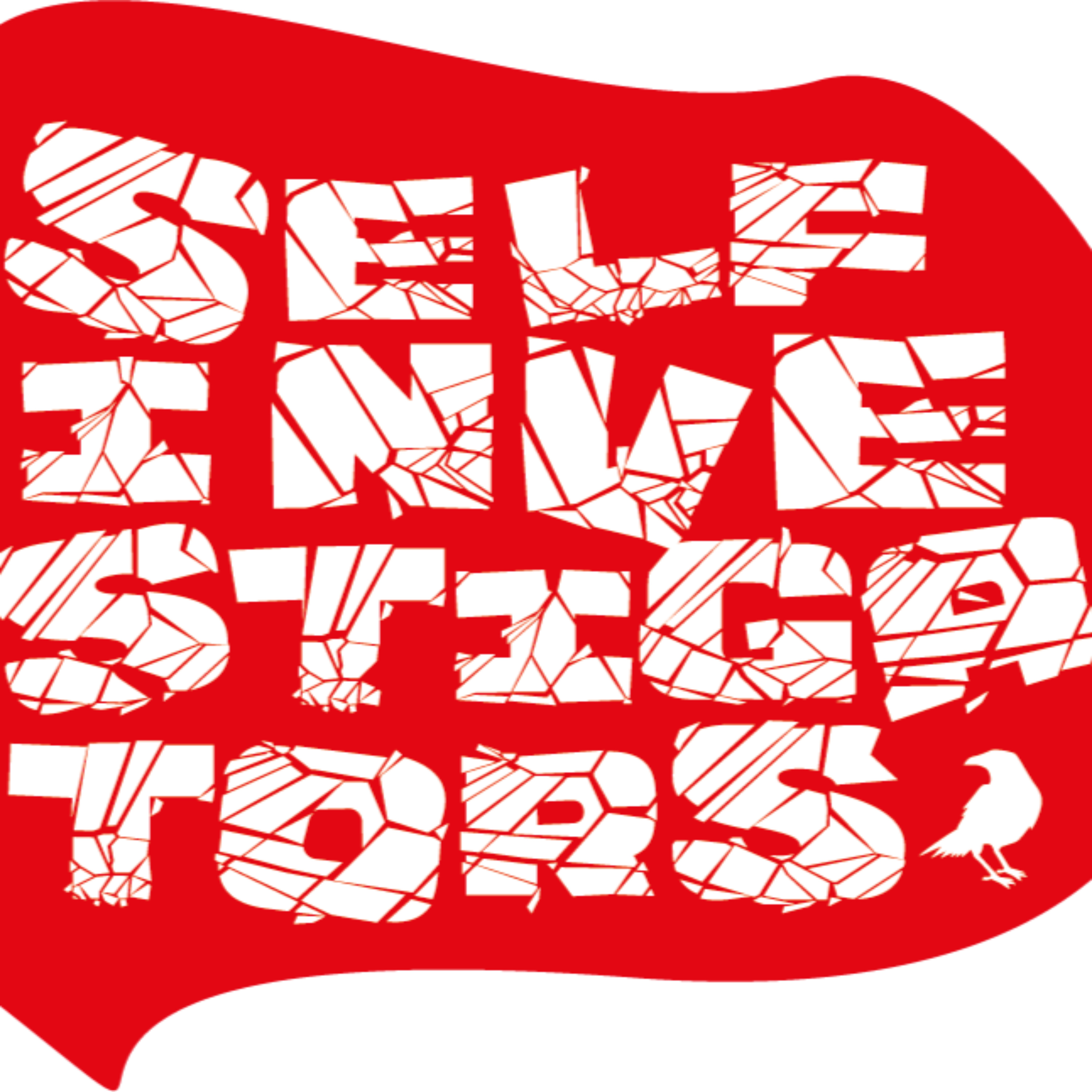 Self investigators