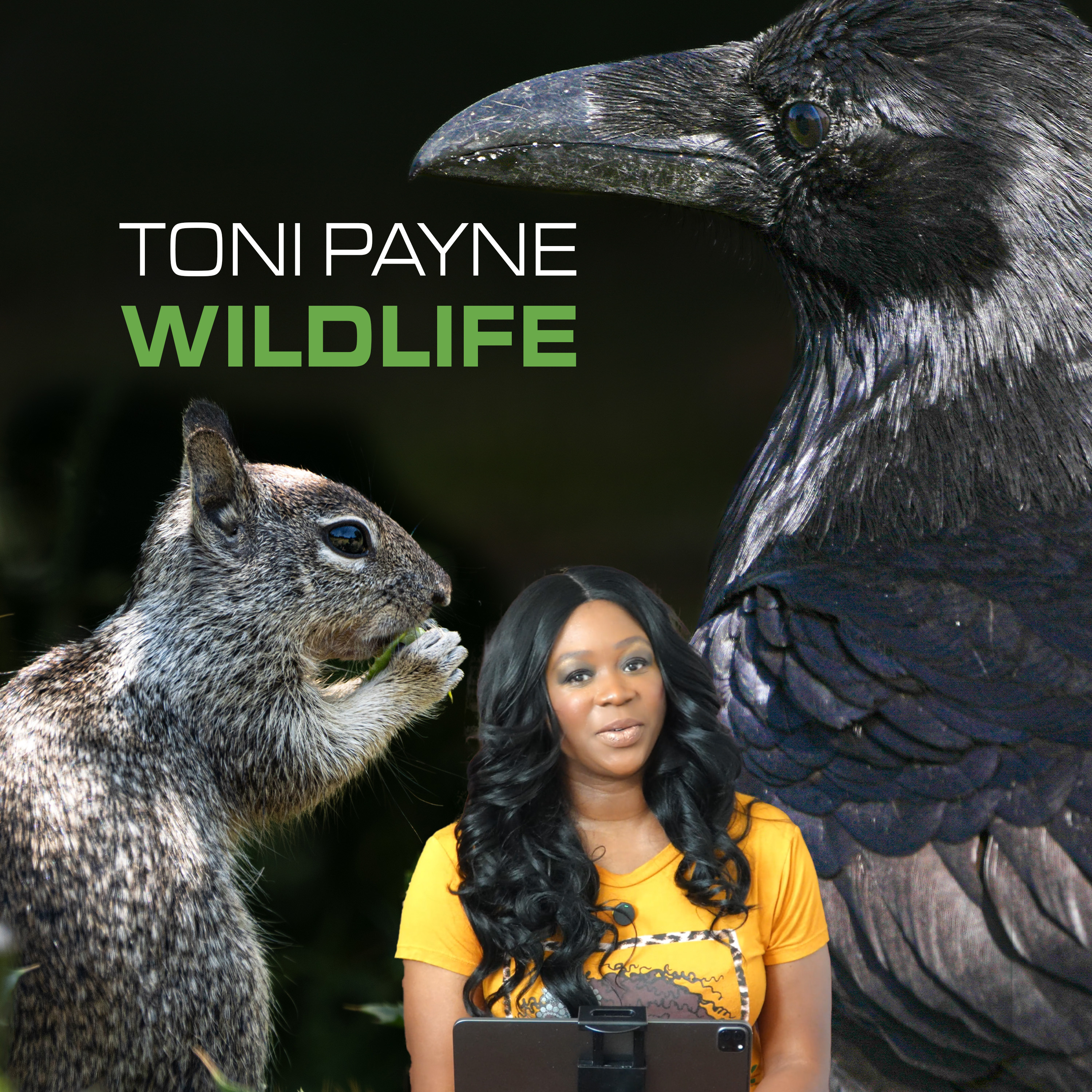 Toni Payne Wildlife
