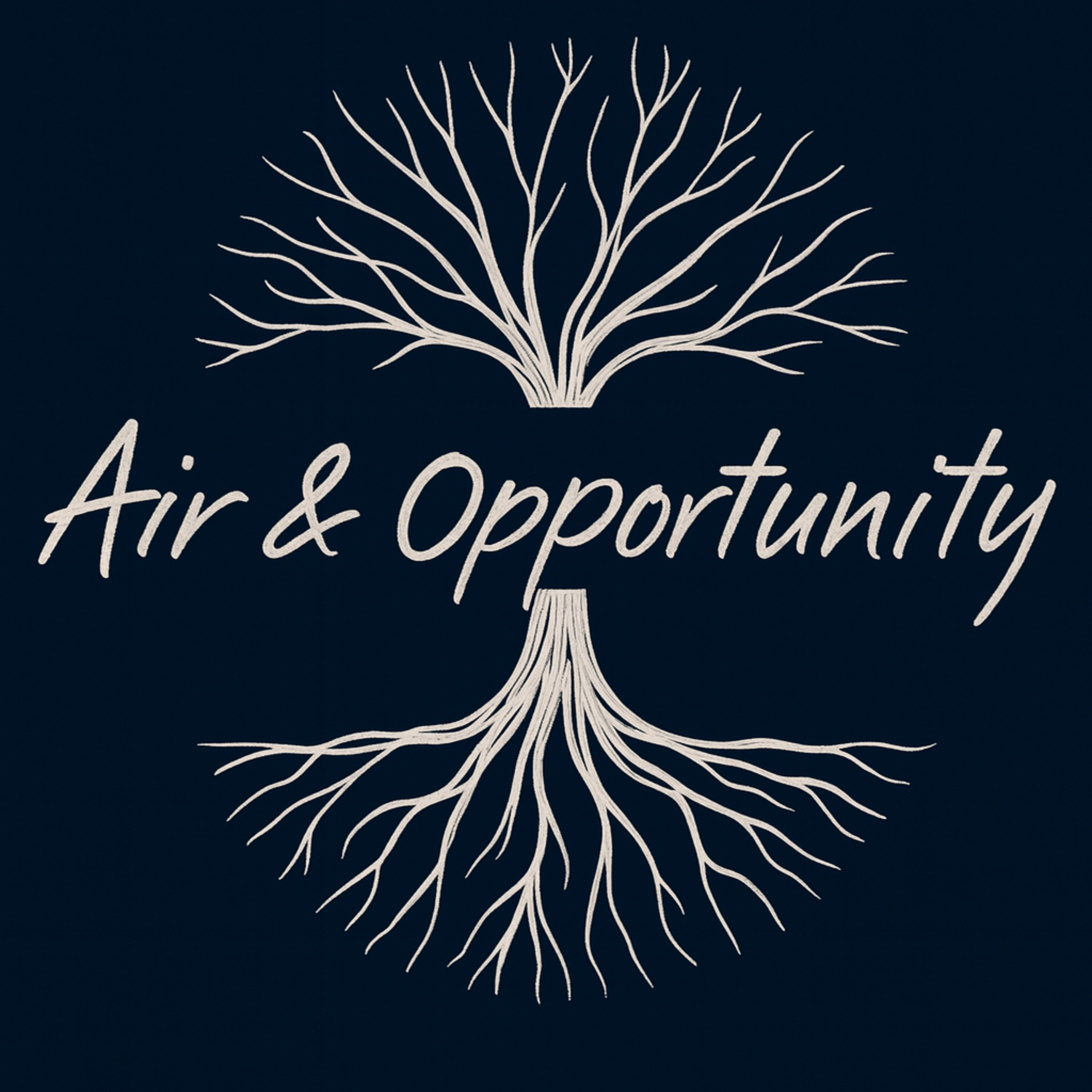 Air and Opportunity