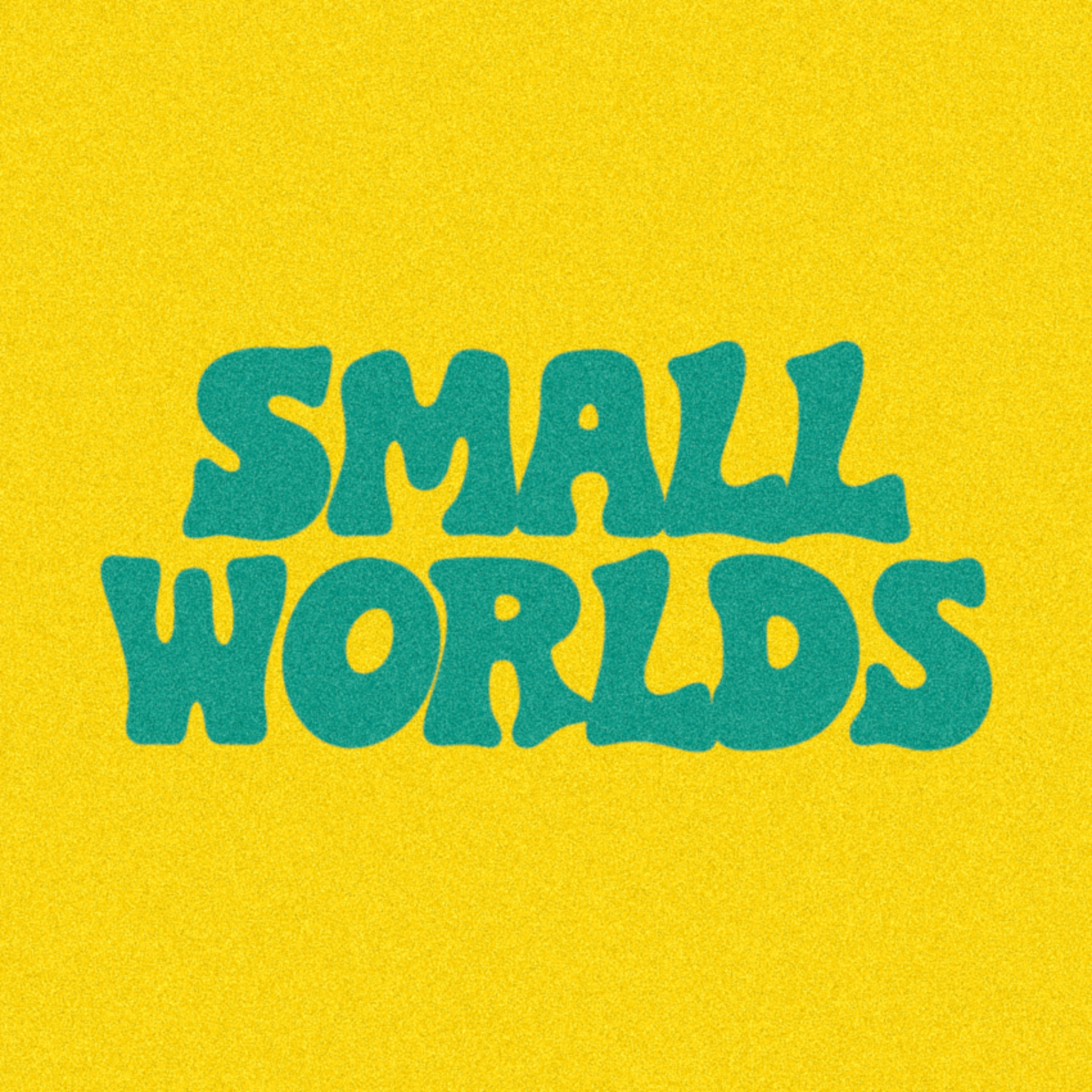 Small Worlds