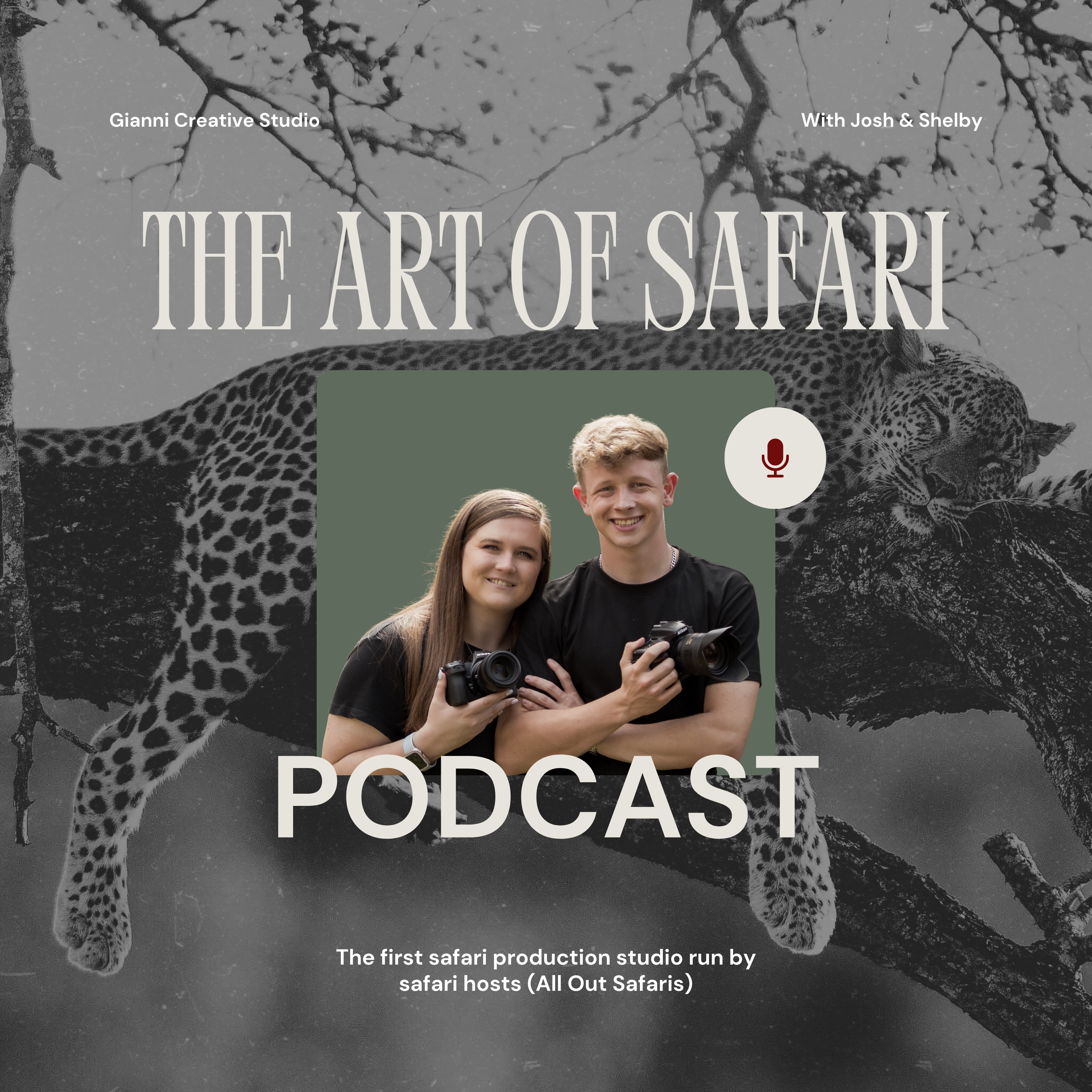 The Art of Safari Podcast