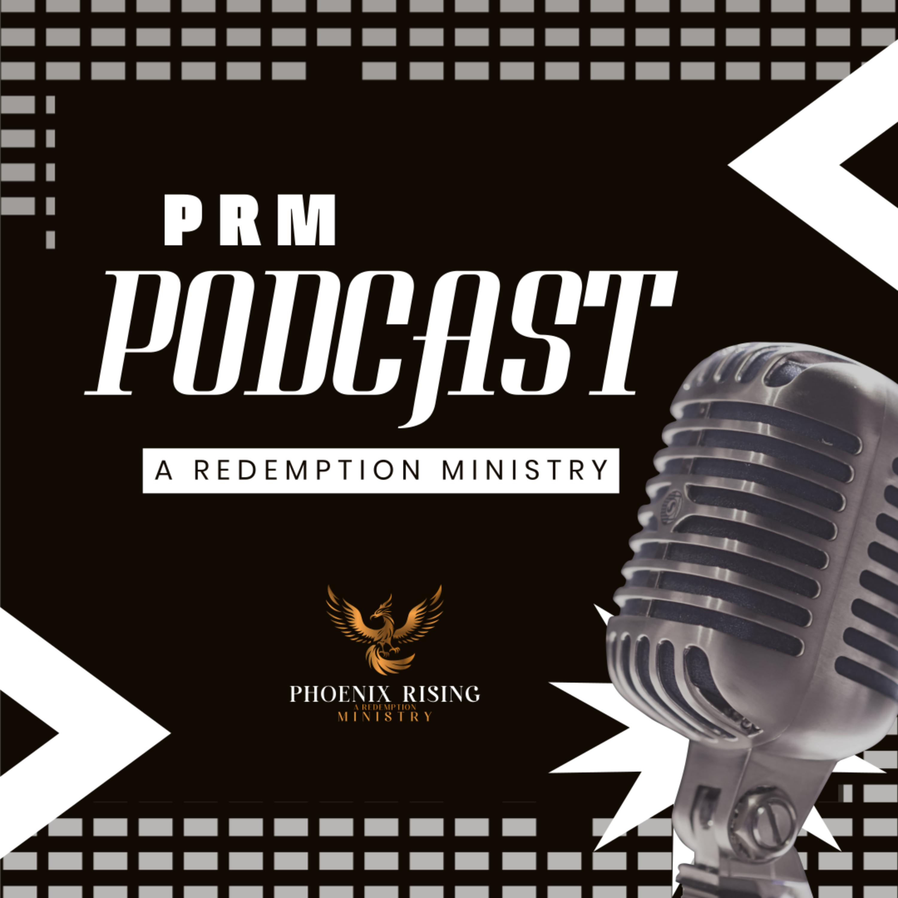 PRM PODCAST cover art
