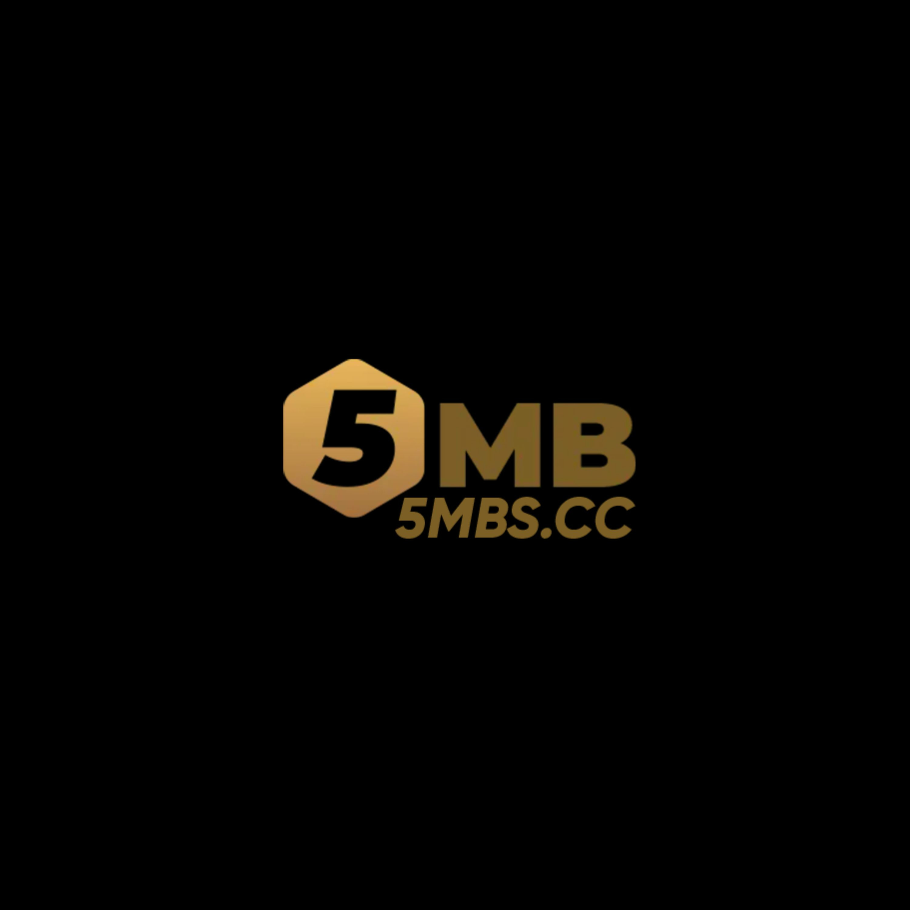 5MB