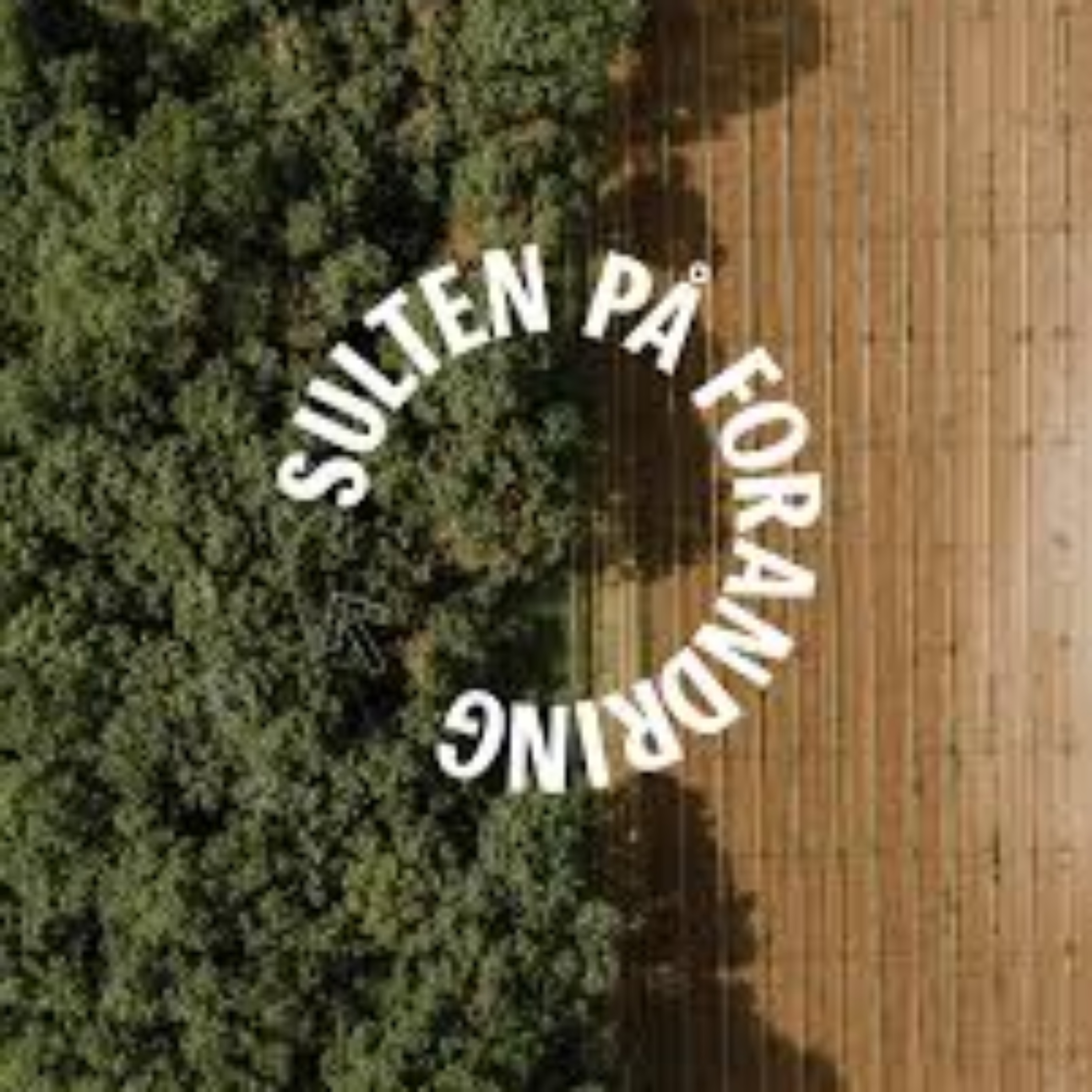 Sulten På Forandring cover art