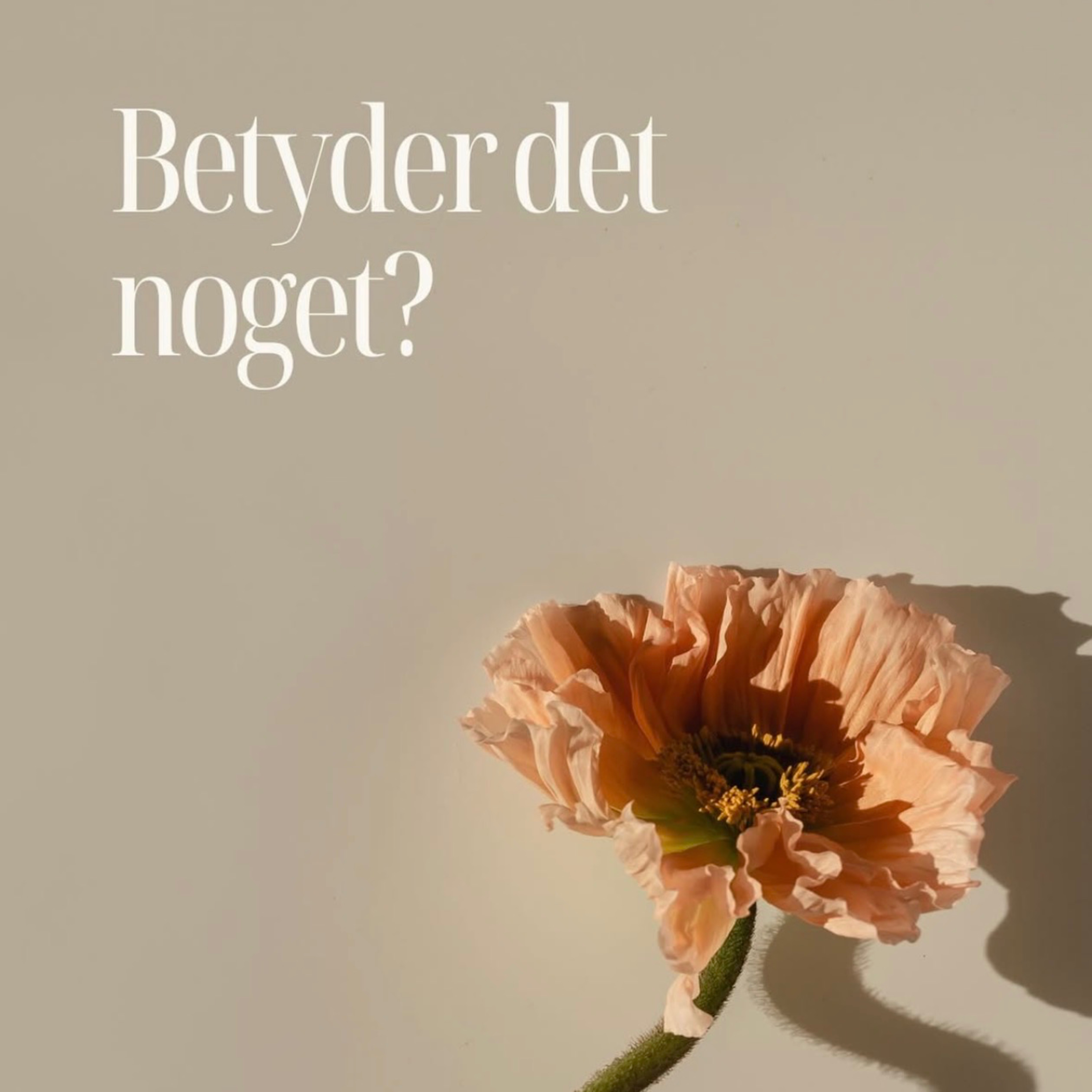 Betyder det noget