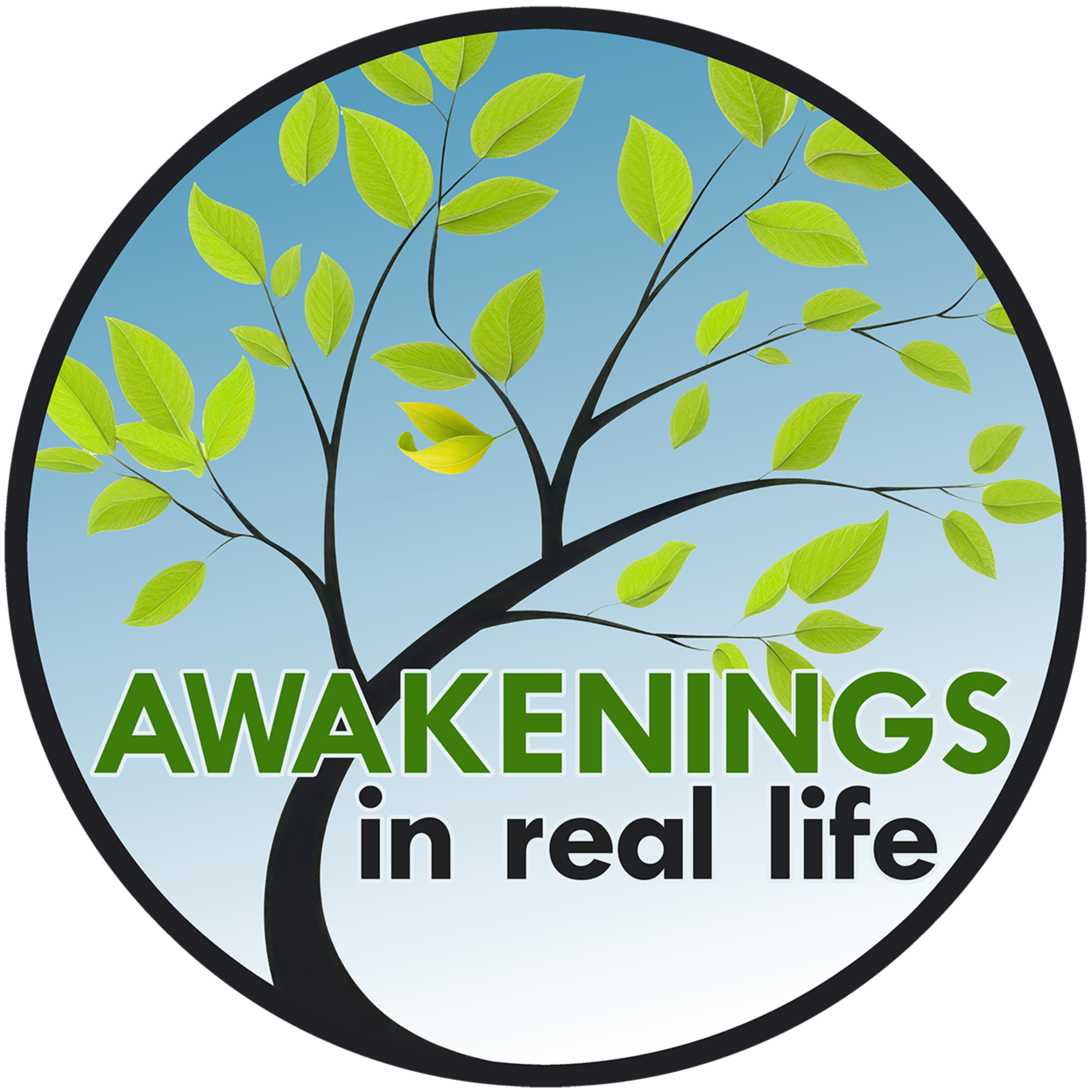 Awakenings In Real Life