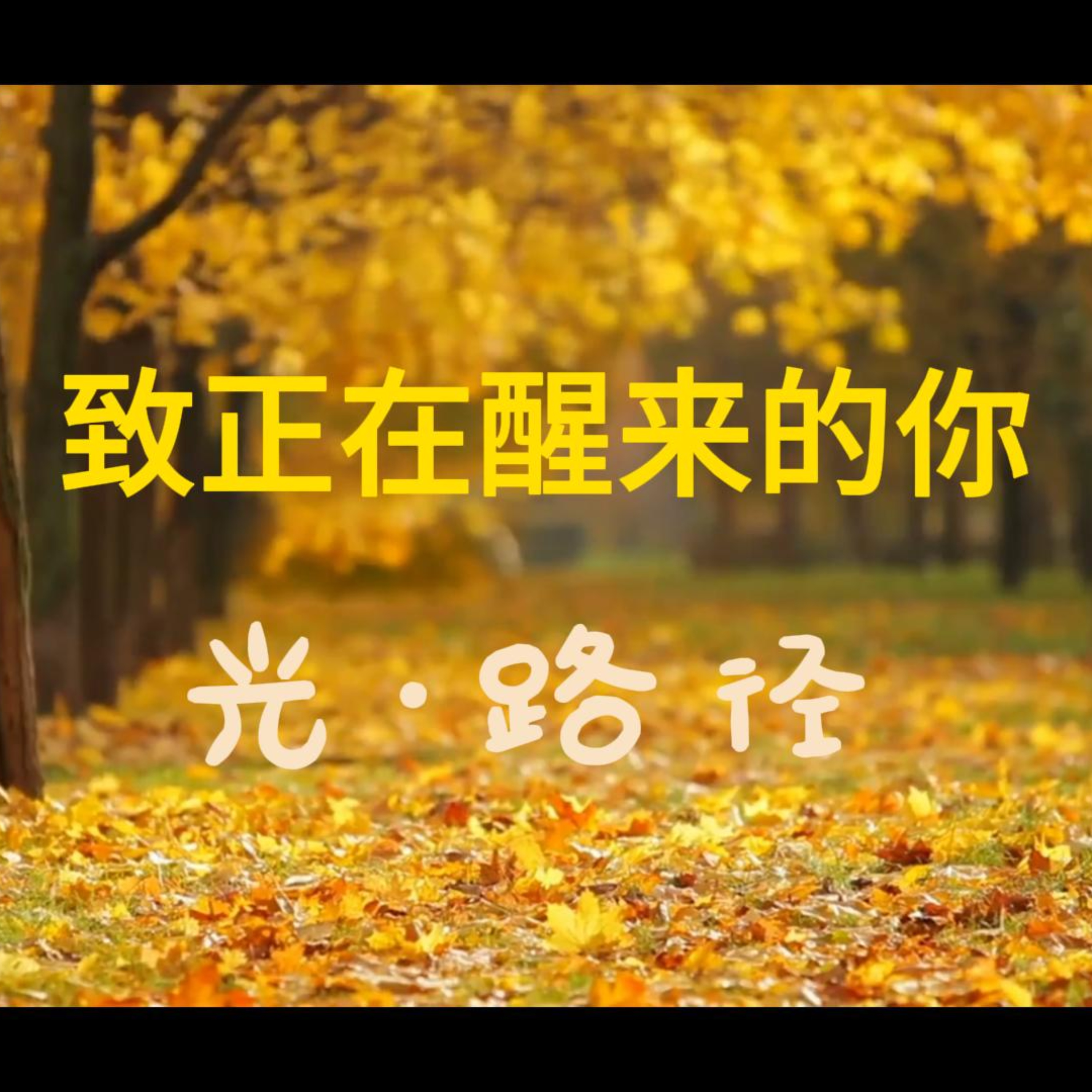 《光·路径》
