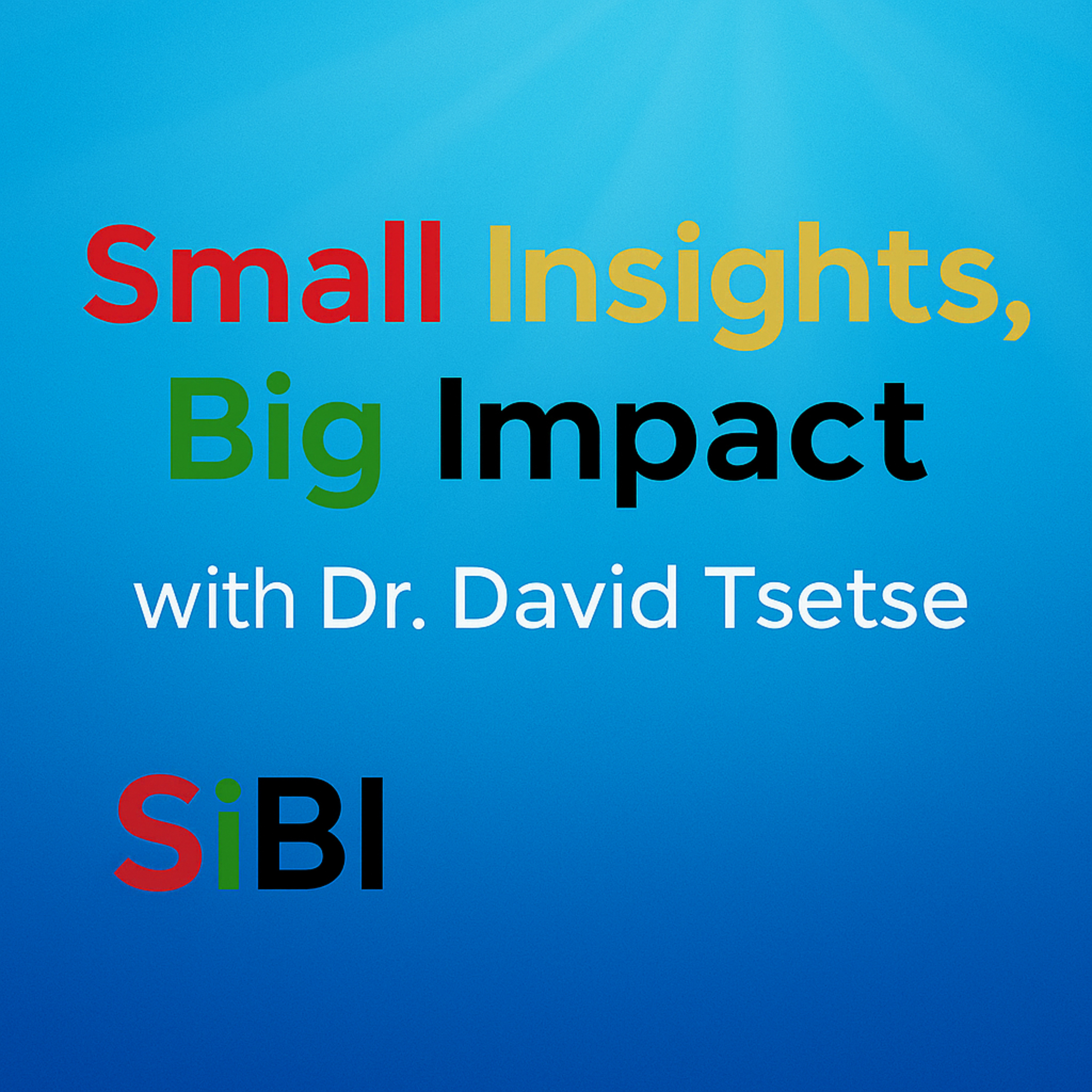 Small Insights, Big Impact, with Dr. David Tsetse cover art
